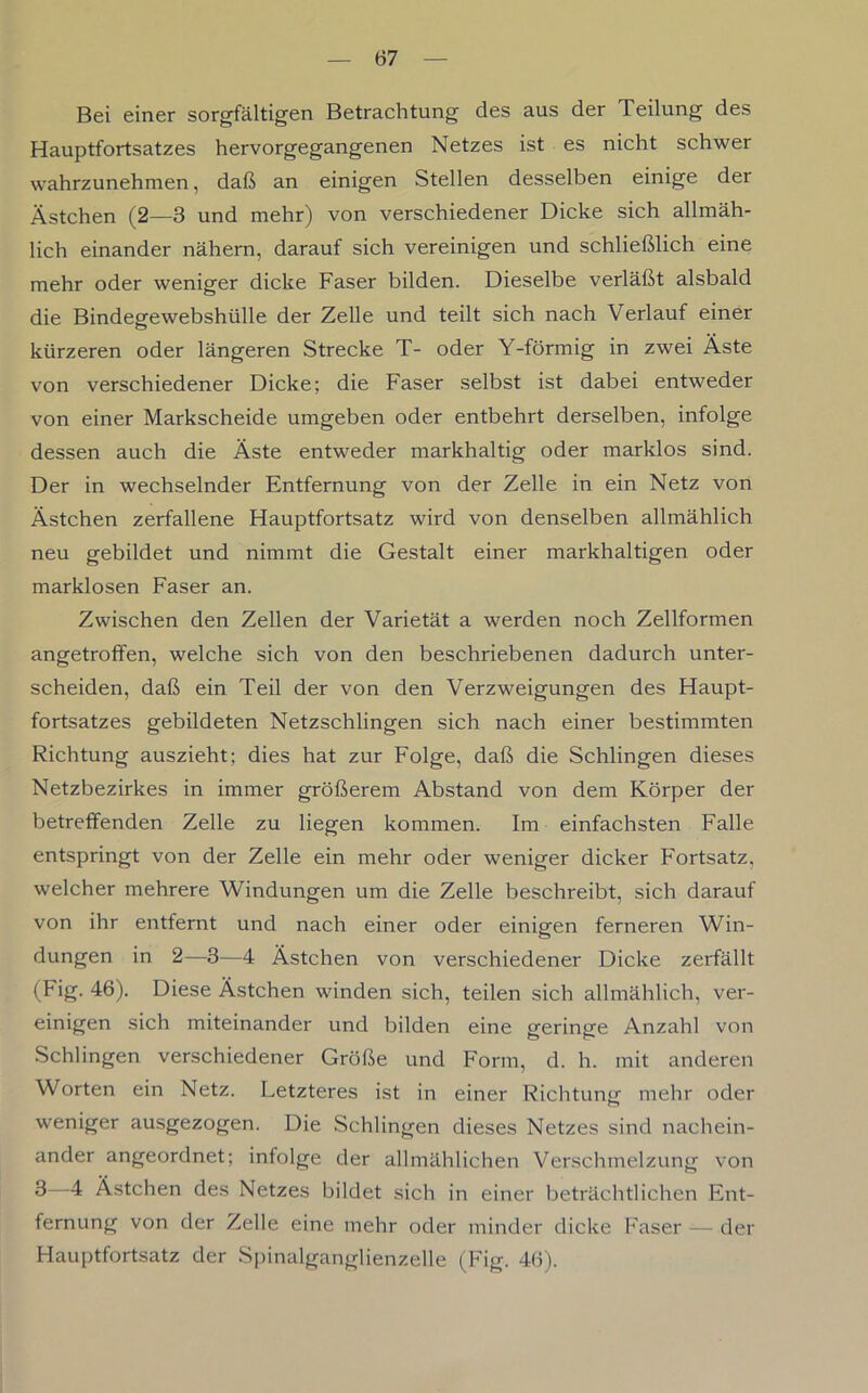 Bei einer sorgfältigen Betrachtung des aus der Teilung des Hauptfortsatzes hervorgegangenen Netzes ist es nicht schwer wahrzunehmen, daß an einigen Stellen desselben einige der Ästchen (2—3 und mehr) von verschiedener Dicke sich allmäh- lich einander nähern, darauf sich vereinigen und schließlich eine mehr oder weniger dicke Faser bilden. Dieselbe verläßt alsbald die Bindegewebshülle der Zelle und teilt sich nach Verlauf einer kürzeren oder längeren Strecke T- oder Y-förmig in zwei Äste von verschiedener Dicke; die Faser selbst ist dabei entweder von einer Markscheide umgeben oder entbehrt derselben, infolge dessen auch die Äste entweder markhaltig oder marklos sind. Der in wechselnder Entfernung von der Zelle in ein Netz von Ästchen zerfallene Hauptfortsatz wird von denselben allmählich neu gebildet und nimmt die Gestalt einer markhaltigen oder marklosen Faser an. Zwischen den Zellen der Varietät a werden noch Zellformen angetroffen, welche sich von den beschriebenen dadurch unter- scheiden, daß ein Teil der von den Verzweigungen des Haupt- fortsatzes gebildeten Netzschlingen sich nach einer bestimmten Richtung auszieht; dies hat zur Folge, daß die Schlingen dieses Netzbezirkes in immer größerem Abstand von dem Körper der betreffenden Zelle zu liegen kommen. Im einfachsten Falle entspringt von der Zelle ein mehr oder weniger dicker Fortsatz, welcher mehrere Windungen um die Zelle beschreibt, sich darauf von ihr entfernt und nach einer oder einigen ferneren Win- dungen in 2—3—4 Ästchen von verschiedener Dicke zerfällt (Fig. 46). Diese Ästchen winden sich, teilen sich allmählich, ver- einigen sich miteinander und bilden eine geringe Anzahl von Schlingen verschiedener Größe und Form, d. h. mit anderen Worten ein Netz. Letzteres ist in einer Richtung mehr oder weniger ausgezogen. Die Schlingen dieses Netzes sind nachein- ander angeordnet; infolge der allmählichen Verschmelzung von 3 4 Ästchen des Netzes bildet sich in einer beträchtlichen Ent- fernung von der Zelle eine mehr oder minder dicke Faser — der Hauptfortsatz der Spinalganglienzelle (Fig. 46).
