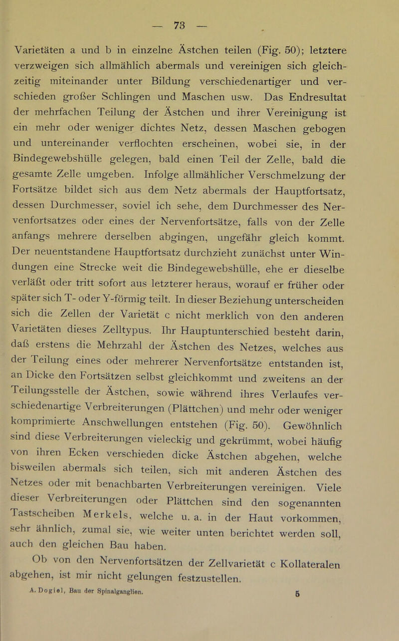 Varietäten a und b in einzelne Ästchen teilen (Fig. 50); letztere verzweigen sich allmählich abermals und vereinigen sich gleich- zeitig miteinander unter Bildung verschiedenartiger und ver- schieden großer Schlingen und Maschen usw. Das Endresultat der mehrfachen Teilung der Ästchen und ihrer Vereinigung ist ein mehr oder weniger dichtes Netz, dessen Maschen gebogen und untereinander verflochten erscheinen, wobei sie, in der Bindegewebshülle gelegen, bald einen Teil der Zelle, bald die gesamte Zelle umgeben. Infolge allmählicher Verschmelzung der Fortsätze bildet sich aus dem Netz abermals der Hauptfortsatz, dessen Durchmesser, soviel ich sehe, dem Durchmesser des Ner- venfortsatzes oder eines der Nervenfortsätze, falls von der Zelle anfangs mehrere derselben abgingen, ungefähr gleich kommt. Der neuentstandene Hauptfortsatz durchzieht zunächst unter Win- dungen eine Strecke weit die Bindegewebshülle, ehe er dieselbe verläßt oder tritt sofort aus letzterer heraus, worauf er früher oder später sich T- oder Y-förmig teilt. In dieser Beziehung unterscheiden sich die Zellen der Varietät c nicht merklich von den anderen Varietäten dieses Zelltypus. Ihr Hauptunterschied besteht darin, daß erstens die Mehrzahl der Ästchen des Netzes, welches aus der Teilung eines oder mehrerer Nervenfortsätze entstanden ist, an Dicke den Fortsätzen selbst gleichkommt und zweitens an der Teilungsstelle der Ästchen, sowie während ihres Verlaufes ver- schiedenartige Verbreiterungen (Plättchen) und mehr oder weniger komprimierte Anschwellungen entstehen (Fig. 50). Gewöhnlich sind diese Verbreiterungen vieleckig und gekrümmt, wobei häufig von ihren Ecken verschieden dicke Ästchen abgehen, welche bisweilen abermals sich teilen, sich mit anderen Ästchen des Netzes oder mit benachbarten Verbreiterungen vereinigen. Viele dieser Verbreiterungen oder Plättchen sind den sogenannten Tastscheiben Merkels, welche u. a. in der Haut Vorkommen, sehr ähnlich, zumal sie, wie weiter unten berichtet werden soll, auch den gleichen Bau haben. Ob von den Nervenfortsätzen der Zellvarietät c Kollateralen abgehen, ist mir nicht gelungen festzustellen. A. Dogiel, Bau der Spinalganglien. 5