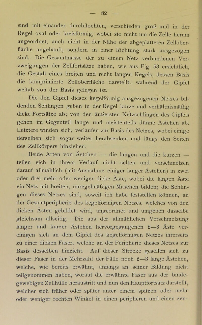 sind mit einander durchflochten, verschieden groß und in der Regel oval oder kreisförmig, wobei sie nicht um die Zelle herum angeordnet, auch nicht in der Nähe der abgeplatteten Zellober- fläche angehäuft, sondern in einer Richtung stark ausgezogen sind. Die Gesamtmasse der zu einem Netz verbundenen Ver- zweigungen der Zellfortsätze haben, wie aus Fig. 53 ersichtlich, die Gestalt eines breiten und recht langen Kegels, dessen Basis die komprimierte Zelloberfläche darstellt, während der Gipfel weitab von der Basis gelegen ist. Die den Gipfel dieses kegelförmig ausgezogenen Netzes bil- denden Schlingen geben in der Regel kurze und verhältnismäßig dicke Fortsätze ab; von den äußersten Netzschlingen des Gipfels gehen im Gegenteil lange und meistenteils dünne Ästchen ab. Letztere winden sich, verlaufen zur Basis des Netzes, wobei einige derselben sich sogar weiter herabsenken und längs den Seiten des Zellkörpers hinziehen. Beide Arten von Ästchen — die langen und die kurzen — teilen sich in ihrem Verlauf nicht selten und verschmelzen darauf allmählich (mit Ausnahme einiger langer Ästchen) in zwei oder drei mehr oder weniger dicke Äste, wobei die langen Äste ein Netz mit breiten, unregelmäßigen Maschen bilden: die Schlin- gen dieses Netzes sind, soweit ich habe feststellen können, an der Gesamtperipherie des kegelförmigen Netzes, welches von den dicken Ästen gebildet wird, angeordnet und umgeben dasselbe gleichsam allseitig. Die aus der allmählichen Verschmelzung langer und kurzer Ästchen hervorgegangenen 2—3 Äste ver- einigen sich an dem Gipfel des kegelförmigen Netzes ihrerseits zu einer dicken Faser, welche an der Peripherie dieses Netzes zur Basis desselben hinzieht. Auf dieser Strecke gesellen sich zu dieser Faser in der Mehrzahl der Fälle noch 2—3 lange Ästchen, welche, wie bereits erwähnt, anfangs an seiner Bildung nicht teilgenommen haben, worauf die erwähnte Faser aus der binde- gewebigen Zellhülle heraustritt und nun den Hauptfortsatz darstellt, welcher sich früher oder später unter einem spitzen oder mehr oder weniger rechten Winkel in einen peripheren und einen zen-