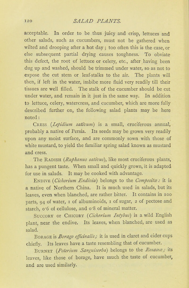 acceptable. In order to be thus juicy and crisp, lettuces and other salads, such as cucumbers, must not be gathered when wilted and drooping after a hot day ; too often this is the case, or else subsequent partial drying causes toughness. To obviate this defect, the root of lettuce or celery, etc., after having been dug up and washed, should be trimmed under water, so as not to expose the cut stem or leaf-stalks to the air. The plants will then, if left in the water, imbibe more fluid very readily till their tissues are well filled. The stalk of the cucumber should be cut under water, and remain in it just in the same way. In addition to lettuce, celery, watercress, and cucumber, which are more fully described further on, the following salad plants may be here noted: Cress (Lepidium sativum) is a small, cruciferous annual, probably a native of Persia. Its seeds may be grown very readily upon any moist surface, and are commonly sown with those of white mustard, to yield the familiar spring salad known as mustard and cress. The Radish (.Raphanus sativus), like most cruciferous plants, has a pungent taste. When small and quickly grown, it is adapted for use in salads. It may be cooked with advantage. Endive (Cichorium Endivia) belongs to the Composites: it is a native of Northern China. It is much used in salads, but its leaves, even when blanched, are rather bitter. It contains in ioo parts, 94 of water, i of albuminoids, i of sugar, 2 of pectose and starch, o‘6 of cellulose, and o‘8 of mineral matter. Succory or Chicory (Cichorium Lntybus) is a wild English plant, near the endive. Its leaves, when blanched, are used as salad. Borage is Borago officinalis; it is used in claret and cider cups chiefly. Its leaves have a taste resembling that of cucumber. Burnet (.Poterium Sangmsorba) belongs to the Rosacea:; its leaves, like those of borage, have much the taste of cucumber, and are used similarly.