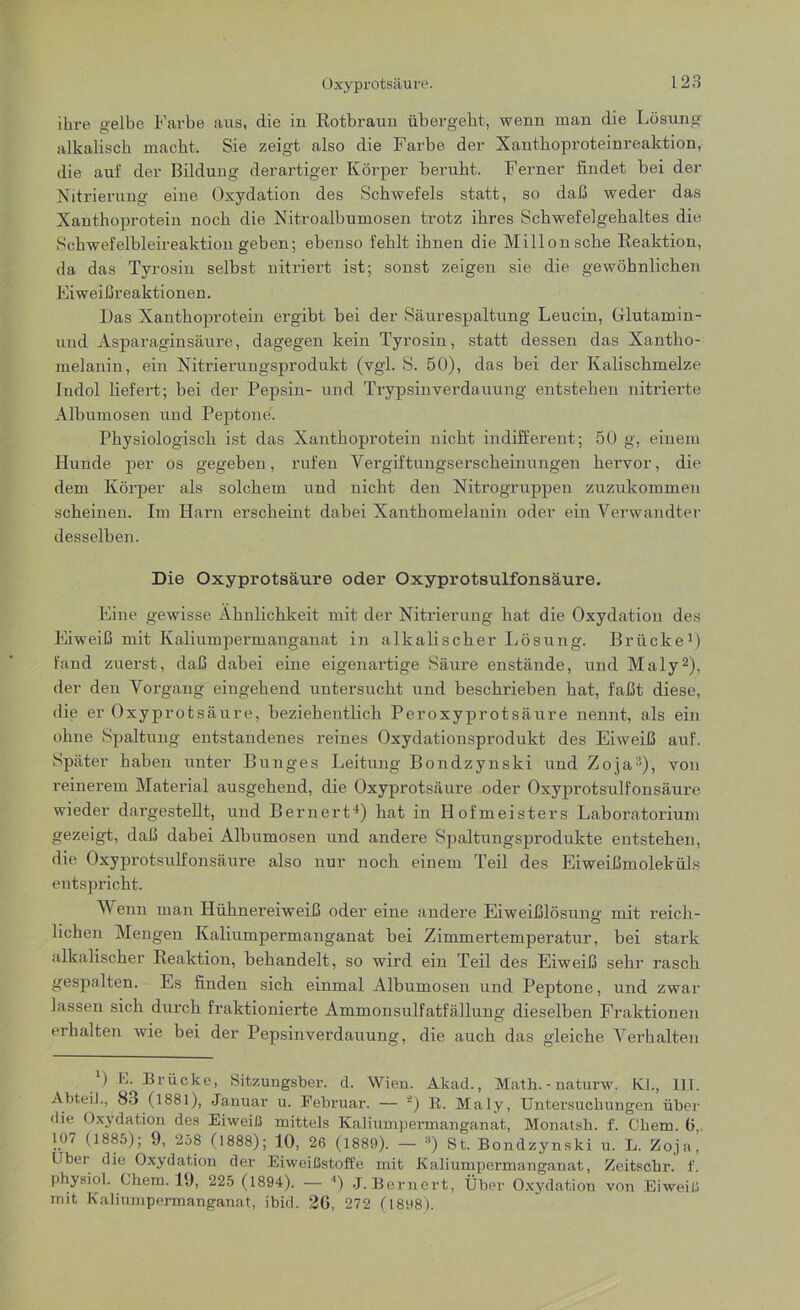 ihre gelbe Farbe aus, die in Rotbraun übergebt, wenn man die Lösung alkalisch macht. Sie zeigt also die Farbe der Xanthoproteinreaktion, die auf der Bildung derartiger Körper beruht. Ferner findet bei der Nitrierung eine Oxydation des Schwefels statt, so daß weder das Xanthoprotein noch die Nitroalbumosen trotz ihres Schwefelgehaltes die Schwefelbleireaktion geben; ebenso fehlt ihnen die Millonsche Reaktion, da das Tyrosin selbst nitriert ist; sonst zeigen sie die gewöhnlichen Eiweißreaktionen. Ras Xanthoprotein ergibt bei der Säurespaltung Leucin, Glutamin- uud Asparaginsäure, dagegen kein Tyrosin, statt dessen das Xantho- melanin, ein Nitrierungsprodukt (vgl. S. 50), das bei der Kalischmelze Indol liefert; bei der Pepsin- und Trypsinverdauung entstehen nitrierte Albumosen und Peptone. Physiologisch ist das Xanthoprotein nicht indifferent; 50 g, einem Hunde per os gegeben, rufen Vergiftungserscheinungen hervor, die dem Körper als solchem und nicht den Nitrogruppen zuzukommen scheinen. Im Harn erscheint dabei Xanthomelanin oder ein Verwandter desselben. Die Oxyprotsäure oder Oxyprotsulfonsäure. Eine gewisse Ähnlichkeit mit der Nitrierung hat die Oxydation des Eiweiß mit Kaliumpermanganat in alkalischer Lösung. Brücke1) fand zuerst, daß dabei eine eigenartige Säure enstände, und Maly2), der den Vorgang eingehend untersucht und beschrieben hat, faßt diese, die er Oxyprotsäure, beziehentlich Per oxyprotsäure nennt, als ein ohne Spaltung entstandenes reines Oxydationsprodukt des Eiweiß auf. Später haben unter Bunges Leitung Bondzynski und Zoja3), von reinerem Material ausgehend, die Oxyprotsäure oder Oxyprotsulfonsäure wieder dargestellt, und Bernert4) hat in Hofmeisters Laboratorium gezeigt, daß dabei Albumosen und andere Spaltungsprodukte entstehen, die Oxyprotsulfonsäure also nur noch einem Teil des Eiweißmoleküls entspricht. Wenn man Hühnereiweiß oder eine andere Eiweißlösung mit reich- t o liehen Mengen Kaliumpermanganat bei Zimmertemperatur, bei stark alkalischer Reaktion, behandelt, so wird ein Teil des Eiweiß sehr rasch gesjmlten. Es finden sich einmal Albumosen und Peptone, und zwar lassen sich durch fraktionierte Ammonsulfatfällung dieselben Fraktionen erhalten wie bei der Pepsinverdauung, die auch das gleiche Verhalten /) E- Brücke, Sitzungsber. d. Wien. Akad., Math. - naturw. Kl., 111. Abteil., 83 (1881), Januar u. Februar. — ä) R. Maly, Untersuchungen über die Oxydation des Eiweiß mittels Kaliumpermanganat, Monatsh. f. Chem. (5, 107 (1885); 9, 258 (1888); 10, 26 (1889). — a) St. Bondzynski u. L. Zoja, Uber die Oxydation der Eiweißstoffe mit Kaliumpermanganat, Zeitschr. f. physiol. Chem. 19, 225 (1894). — 4) J. Bernert, Über Oxydation von Eiweiß mit Kaliumpermanganat, ibid. 26, 272 (1898).
