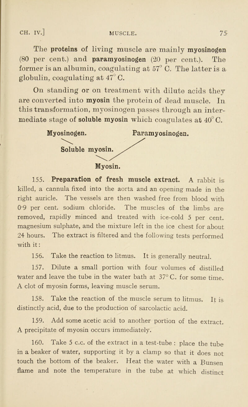 The proteins of living muscle are mainly myosinogen (80 per cent.) and paramyosinogen (20 per cent.). The former is an albumin, coagulating at 57° C. The latter is a globulin, coagulating at 47 C. On standing or on treatment with dilute acids they are converted into myosin the protein of dead muscle. In this transformation, myosinogen passes through an inter- mediate stage of soluble myosin which coagulates at 40° C. 155. Preparation of fresh muscle extract. A rabbit is killed, a cannula fixed into the aorta and an opening made in the right auricle. The vessels are then washed free from blood with 0'9 per cent, sodium chloride. The muscles of the limbs are removed, rapidly minced and treated with ice-cold 5 per cent, magnesium sulphate, and the mixture left in the ice chest for about 24 hours. The extract is filtered and the following tests performed with it: 156. Take the reaction to litmus. It is generally neutral. 157. Dilute a small portion with four volumes of distilled water and leave the tube in the water bath at 37° C. for some time. A clot of myosin forms, leaving muscle serum. 158. Take the reaction of the muscle serum to litmus. It is distinctly acid, due to the production of sarcolactic acid. 159. Add some acetic acid to another portion of the extract. A precipitate of myosin occurs immediately. 160. Take 5 c.c. of the extract in a test-tube : place the tube in a beaker of water, supporting it by a clamp so that it does not touch the bottom of the beaker. Heat the water with a Bunsen flame and note the temperature in the tube at which distinct Myosinogen. Paramyosinogen. Soluble np Myosin.