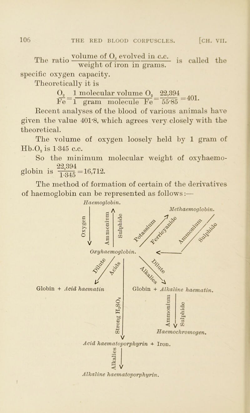 The ratio volume of 00 evolved in c.c. is called the = 401. weight of iron in grams, specific oxygen capacity. Theoretically it is 02 1 molecular volume 02 22,394 Fe~l gram molecule Fe~ 55*85 Recent analyses of the blood of various animals have given the value 401*8, which agrees very closely with the theoretical. The volume of oxygen loosely held by 1 gram of Hb-02 is 1-345 c.c. So the minimum molecular weight of oxvhaemo- 22 394 globin is =16,712. The method of formation of certain of the derivatives of haemoglobin can be represented as follows:— Haemoglobin. £ © 'on X C A o a V © •rH A & i—H 3 m Methaemoglobin. Oxy haemoglobin Globin + Acid haematin O w ei K S3 O w Globin + Alkaline haematin. a S3 O © < y m Haemochromogen. Acid haematoporphyrin + Iron. w © r-H eS 3 V A Ikaline Jiaematoporphyrin.