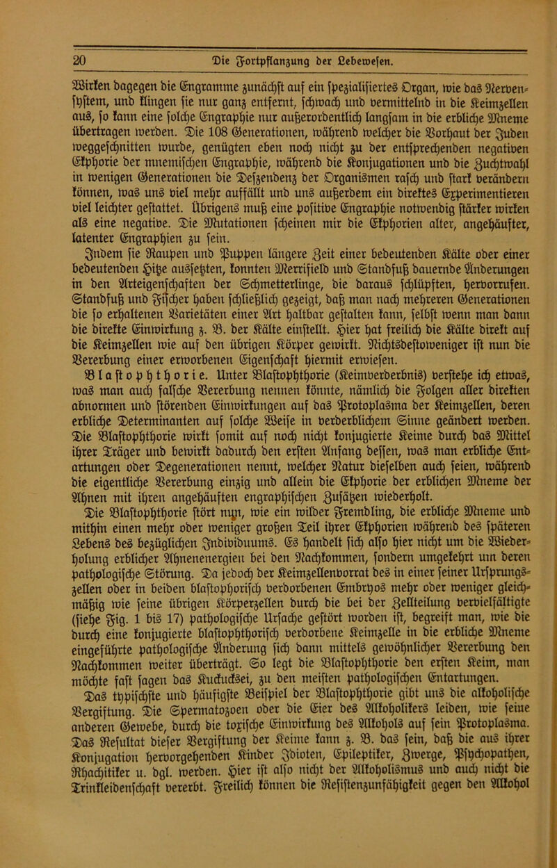 Sßirlen bagegen bie (Engramme gunädpft auf ein fpegialifierteS Drgan, wie baS Sterben* fpftem, unb Hingen fie nur gang entfernt, fdpwadp unb üermittetnb in bie feimgelten auS, fo !ann eine foldpe (Engtappie nur aufjerorbentließ tangfain in bie erblidje SJtneme übertragen werben. Sie 108 Generationen, wäprenb meiner bie Vorpaut ber guben weggefepnitten würbe, genügten eben noep nidpt gu ber entfpreepenben negatiüen (Slptjorie ber mnemifepen (Engrappie, wäprenb bie Konjugationen unb bie $ucptwapl in wenigen Generationen bie Sefgenbeng ber Organismen rafcf) unb ftar! beränbern tonnen, was uns biel met)r auffällt unb uns aufjerbem ein birefteS (Experimentieren biel leiepter geftattet. Übrigens muff eine pofitibe (Engrappie notwenbig ftärter Wirten als eine negutibe. Sie SKutationen fdjeinen mir bie (Etpporien alter, angepäufter, latenter (Engrappien gu fein. Snbem fie Staupen unb puppen längere $eit einer bebeutenben Kälte ober einer bebeutenben ipipe auSfepten, tonnten Slterrifielb unb ©tanbfufj bauembe Slnberungeu in ben Slrteigenfdjafteu ber ©dpmetterlinge, bie barauS fd)Iüpften, perborrufen, ©tanbfufj unb gtfeper pabeu fdfliefslicp gegeigt, baff man uaep mepreren Generationen bie fo erpaltenen Varietäten einer 2lrt paltbar geftalten tann, felbft wenn man bann bie birette (Einwirfung g. 33. ber Kälte einftellt. §ier pat freitiep bie Kälte bireft auf bie Keimgellen wie auf ben übrigen Körper gewirtt. SHcptSbeftoweniger ift nun bie Vererbung einer erworbenen (Eigenfcpaft piermit erwiefen. Vlaftopptporie. Unter Vlaftopptporie (KeimberberbniS) berftepe icp etwas, waS man aud) falfcpe Vererbung nennen tönnte, nämlicp bie folgen aller bireften abnormen unb ftörenben (Einwirtungen auf baS Protoplasma ber Keimgellen, beren erblicpe Seterminanten auf foldje SCßeife in üerberblicpem ©inne geänbert werben. Sie Vlaftopptporie wirtt fomit auf noep niept tonjugierte Keime burcp baS SJiittel iprer Sräger unb bewirtt baburcp ben erften Anfang beffen, was man erblicpe (Ent* arhmgen ober Segenerationen nennt, welcper Statur biefelben auep feien, wäprenb bie eigentlicpe Vererbung eingig unb allein bie (Etpporie ber erblicpen Sftneme ber Slpnen mit ipren angepäuften engrappifdjen $ufäpen wieberpolt. Sie Vlaftopptporie ftört nryt, wie ein wilber grembling, bie erblidje SDtneme unb mitpin einen mepr ober weniger grofjen Seil iprer (Etpporien wäprenb beS fpäteren Gebens beS begüglicpen ^nbiüibuumS. (ES panbelt fiep alfo pier niept um bie SBieber* polung erblid)er Slpnenenergieu bei ben Stacptommen, fonbern umgeteprt um beren patpologifdpe Störung. Sa jeboep ber Keimgellenborrat beS in einer feiner UrfprungS* gellen ober in beiben blaftopporifd) Oerborbenen (EmbrpoS mepr ober weniger gleicp* mäfjig wie feine übrigen Körpergellen burcp bie bei ber Zellteilung berüielfältigtc (fiepe §ig. 1 bis 17) patpologifdpe Urfacpe geftört worben ift, begreift man, wie bie burcp eine tonjugierte blaftopptporifcp Oerborbene Keimgelle in bie erblicpe ÜJineme eingefüprte patpologifdpe Vnberung fid) bann mittels gewöpnlicper Vererbung ben Stacptommen weiter überträgt, ©o legt bie Vlaftopptporie ben erften Keim, man möcpte faft fagen baS KududSei, gu ben meiften patpologifdpen (Entartungen. SaS tppifepfte unb päufigfte Veifpiel ber Vlaftopptporie gibt uns bie altopolifcpe Vergiftung. Sie ©permatogoen ober bie (Eier beS SlltopoIiterS leiben, wie feiue anberen Gewebe, burd) bie tojifcpe (Einwirtung beS SlUopolS auf fein Protoplasma. SaS gtefultat biefer Vergiftung ber Keime tann g. V. baS fein, baff bie aus iprer Konjugation perüorgepenben Kinber Sbioten, (Epileptiter, Bwerge, pfpepopatpen, Stpacpitifer u. bgl. werben. £>ier ift alfo nidpt ber SlltopoliSmuS unb aud) uidpt bie SrinHeibenfcpaft oererbt, greilid) tönneu bie Stefiftengunfäpigteit gegen ben Slttopol