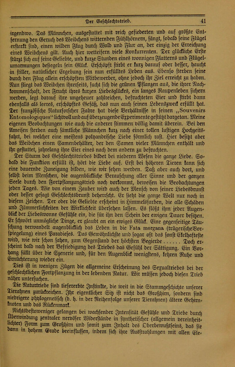 irgenbwo. SaS Männchen, auSgeftattet mit reich gefieberten unb auf größte Ent- fernung ben ©erud) beS SBeibchenS witternben pfjlfjömem, fängt, fobalb feine glügel erftarlt finb, einen wilben glug burd) Söalb unb $lur an, ber einzig ber Erregung eines SßeibdjenS gilt. 2iud) t)ier metteifern biele ftonfurrenten. Ser glücflidje Erfte ftürjt fid) auf feine ©eliebte, unb furge ©tunben eines monnigen ftlatternS unb Flügel- Umarmungen befiegeln fein ©litd. ©rfcfjöpft ftirbt er futg barauf ober beffer, ^auc^t in füllet, natürlicher Ergebung fein nun erfülltes Sebeit auS. Ebenfo fterben feine burd) ben glug allein erfdjöpften Mitbewerber, ohne febod) ihr 3iel erteilt gu haben. Mtn fliegt baS Sßeibdjett itjrerfeitS, fud)t fid) bie grünen ißflanjen auS, bie ihrer 9lad)* Iommenfdjaft, ber ^rucljt ibjreS lurgen SiebeSglüdeS, ein langes Naupenleben fidjern werben, legt barauf ihre ungeheuer galjlreidjen, befruchteten Eier unb ftirbt bann ebenfalls als leeres, erfdjäpfteS ©efäfj, baS nun aud) feinen SebenSgwed erfüllt hat. Ser fcanjöfifdje Naturforfd)er $abre h°t biefe Berl)ältniffe in feinen „Souvenirs Entomologiques1 ‘ lidftbollunb auf übergeugenbe Experimente gefüllt bargetan. Meine eigenen Beobachtungen wie aud) bie anberer ftimmen üöllig bamit überein. Bei ben Slmeifen fterben aud) fämtlicfje Männchen futg nach einer tollen luftigen §o<hgeitS= fahrt, bei welcher eine meiftenS polt)anbrifd)e Siebe förmlid) raft. §ier befind aber baS SBeibdjen einen ©amenbel)älter, ber ben ©amen bieler Männd)en enthält unb ihr geftattet, jahrelang ihre Eier eines nad) bem anbern gu befruchten. Ser ©türm beS ©efd)led)tStriebeS bilbet bei nieberen SBefen bie gange Siebe. ©o= halb bie $unftion erfüllt ift, hört bie Siebe auf. Erft bei höhnen Stieren !ann fid) eine bauembe gmteigung bilben, wie wir fefjen werben. Safj aber aud) bort, unb felbft beim Menfchen, bie augenblidüdje Beraufdjung aller ©inne unb ber gangen ©eele burd) ben $ortpflangungStrieb nodj öorfommt, beweifen bie Beobachtungen jeben SageS. 9Bie tioit einem 3auber wirb aud) ber Menfd) bon feiner Siebesbrunft ober beffer gefagt ©efd)led)tSbrunft beherrfdjt. Er fieht bie gange SGSelt nur noch in biefem 3eid)en. Ser ober bie ©eliebte erfd)eint in JpimmelSfarben, bie alle ©d)äben unb 3ämmerlid)leiten ber 3Birflid)feit überfehen laffen. ES flöjjt ihm jeher Nugen- blid ber Siebeswonne ©efüljle ein, bie für il)n ben ©d)ein ber ewigen Sauer befijjeu. Er fchwört unmögliche Singe, er glaubt an ein ewiges ©lüd. Eine gegenfeitige Säu- fdjung berwanbelt augenblicklich baS Seben in bie Fata morgana (ttügetifd)eBor= fpiegelung) eines SßarabiefeS. SaS ©ewöhnlidhfte unb fogar oft baS fonft Efelf)aftefte wirb, wie wir fchon fatjen, gum ©egenftanb ber höd)ften Begierbe Sod) er- fcheint halb nad) ber Befriebigung beS SriebeS baS ©efüfjl ber ©ättigung. Ein Bor- hang fällt über bie ©generie unb, für ben Wugenblid wenigftenS, lehren 3tuf)e unb Ernüchterung wieber ein. SieS ift in wenigen 3ügen bie allgemeine Erfdjeinung beS Sexualtriebes bei ber gefd)led)tlid)en ftortpflangung in ber lebenben Natur. SBir müffen jebod) biefen Srieb näher unterfudjen. Sie Naturtriebe finb tiefererbte ftnftinfte, bie weit in bie ©tammgefchid)te unferer Stetahnen gurüdreichen. 3h* eigentlicher ©ijj ift nicht baS ©roffhim, fonbem finb mebrigere Phhl°Qenetifd) (b. h- in ber Reihenfolge unferer Sieral)tten) ältere ©ehint- moten unb baS Niidenmarf. Nid)tSbeftoweniger gelangen bei wadjfenber Qntenfität ©efühle unb Stiebe burch Uberwinbung gentraler nerööfet Sßiberftänbe in ft)nthetifd)er (allgemein öereinl)eit- achter) gorm gum ©rofjhirtt unb fomit gum 3ni)alt beS DberbewufjtfeinS, baS fie bann tn hohem ©rabe beeinfluffen, inbem fid) ihre 9luSftraf)lungen mit allen Eie-