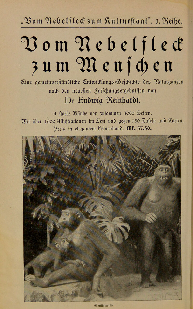 „^om ‘ftebelftect ?utn ^utturftaaf. J.'Xctfjc. ^ o m 71 c b e l f Ic cf ?utn ^eitfd>en (fine gemeint>erftänbUd>e <£nttoicfIung5-Cöefd>icf>te bes ‘Tlaturgan^en nad) ben neueften £orfd>ungsergebniffen oon Dr. ßubtmg 3teinl)arbt. 4 ftarfe 33änbe non ?ufammen 3000 ©eiten. QWt über J600 Slluftrationen im Xep unb gegen 180 Safein unb Karten. Preis in elegantem ßeinenbanb, SW?. 37.50. © otillofomilic