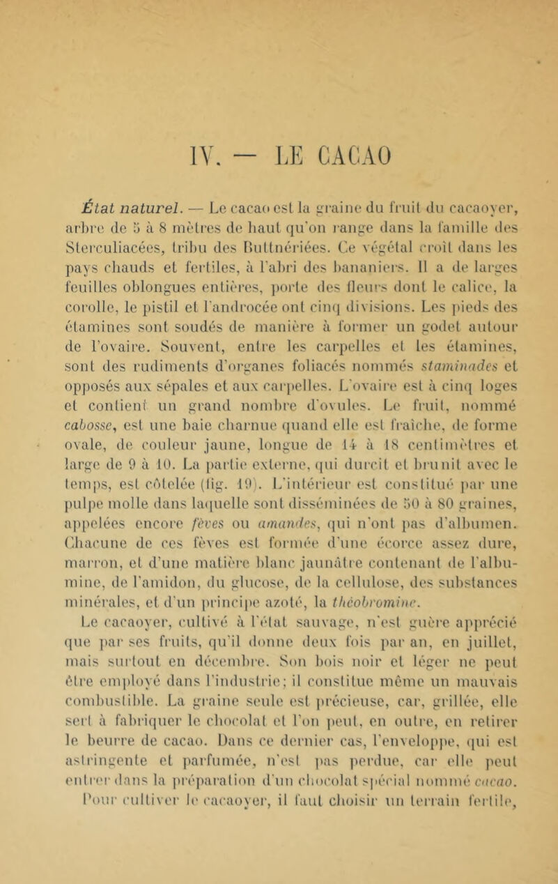 lY. LE CACAO État naturel. — Le cacad csl la trrainc* du fruil du cacaoyer, arbre de 5 à 8 mètres de haut qu'on range dans la l'amille des Slcrculiacées, tribu des lUiltnéi-iées. Ce végétal croit dans les pays chauds el fertiles, à Fabri des l)ananiers. Il a de largos feuilles oblongues entières, ])orle des Heurs dont le calice, la corolle, le pistil et l'androcée ont cinq divisions. Les pieds des étamines sont soudés de manière à former un godet autour de l’ovaire. Souvent, entre les carpelles et les étamines, sont des rudiments d’organes foliacés nommés staminades et opposés au.\ sépales et aux carpelles. L'ovaire est à cinq loges et contient un grand nombre d’ovules. Le fruit, nommé cabosse, csl une baie charnue quand elle est fraîche, de forme ovale, de couleur jaune, longue de 14 à 18 centimètres et large de 9 à 10. La i)arlie externe, (pii durcit el brunit avec le temps, est cAlelée (fig. 19). L'intérieur est constitué jtar une pulpe molle dans hninelle sont disséminées de 50 à 80 graines, ajipelées encore fèves ou amandes, (pii n'ont juas d’albumen. Chacune de ces fèves est formée d'une écorce assez dure, marron, et d’une matière blanc jaunâtre contenant de l’albu- mine, de l'amidon, du glucose, de la cellulose, des substances minérales, et d'un principe azoté, la theobromine. Le cacaoyer, cultivé à l'état sauvage, n'est guère apprécié que jiar ses fruits, qu'il donne deux fois par an, en juillet, mais sui lout en décembre. Son bois noir el léger ne peut être employé dans l’industrie; il constitue même un mauvais combustible. La graine seule est jirécieuse, car, grillée, elle sert à fabriquer le chocolat el l’on j»eul. on outre, en retirer le beurre de cacao. Dans ce dernier cas, l’enveloppe, (pii est astringente et parfumée, n'est pas perdue, car elle peut entrerdans la |iréparation d'un chocolat spécial nommé cacao. Pour cultiver le cacaoyer, il faut choisir un terrain fertih'.