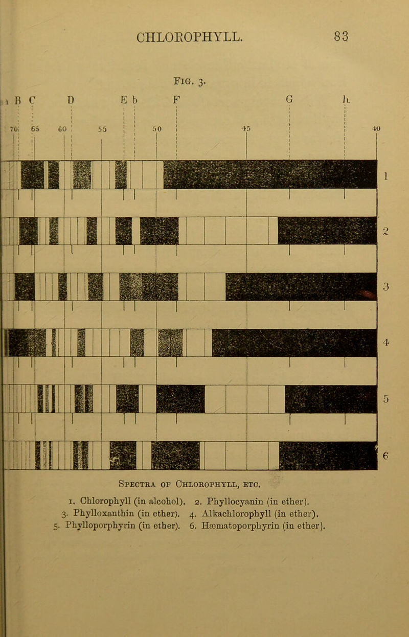 l 2 3 4 5 6 Spectra of Chlorophyll, etc. i. Chlorophyll (in alcohol). 2. Phyllocyanin (in ether). 3. Phylloxanthin (in ether). 4. Alkachlorophyll (in ether). 5. Phylloporphyrin (in ether). 6. Hsematoporphyrin (in ether).