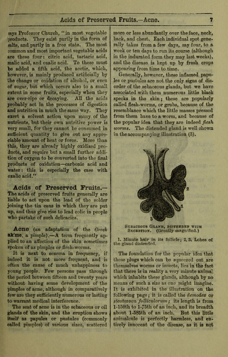 says Professor Church, “in most vegetable products. They exist partly in the form of salts, and partly in a free state. The most common and most important vegetable acids are these four; citric acid, tartaric acid, malic acid, and oxalic acid. To these must be added a fifth acid, the acetic, which, however, is mainly produced artificially by the change or oxidation of alcohol, or even of sugar, but which occurs also to a small extent in some fruits, especially when they are over-ripe or decaying. All the acids probably act in the processes of digestion and nutrition in much the same way. They exert a solvent action upon many of the nutrients, but their own nutritive power is very small, for they cannot be consumed in sufficient quantity to give out any appre- ciable amount of heat or force. More than this, they are already highly oxidized pro- ducts, and require but a small further addi- tion of oxygen to be converted into the final products of oxidation—carbonic acid and water: this is especially the case with oxalic acid.” Acids of Preserved Fruits.— The acids of preserved fruits generally are liable to act upon the lead of the solder joining the tin cans in which they are put up, and thus give rise to lead colic in people who partake of such delicacies. Acne (an adaptation of the Greek ak'me, a pimple).—A term frequently ap- pUed to an affection of the skin sometimes spoken of as pimples or flesh-worms. It is next to eczema in frequency, if indeed it is not more frequent, and is often the cause of much unhappiness to young people. Few persons pass through the period between fifteen and twenty years without having some development of the pimples of acne, although in comparatively few are they sufficiently numerous or lasting to warrant medical interference. The seat of acne is in the sebaceous or oil glands of the skin, and the eruption shows itself as papules or pustules (commonly called pimples) of various sizes, scattered more or less abundantly over the face, neck, back, and chest. Each individual spot gene- rally takes from a few days, say four, to a week or ten days to run its course (although in the indurated form they may last weeks), and the disease is kept up by fresh crops appearing from time to time. Generally, however, these inflamed papu- les or pustules are not the only signs of dis- order of the sebaceous glands, but we have associated with them numerous little black specks in the skin j these are popularly called flesh-worms, or grubs, because of the resemblance which the little masses pressed from them have to a worm, and because of the popular idea that they are indeed flesh worms. The distended gland is well shown in the accompanying illustration (3). Sebaceous Gland, msTENDEn with Secbbtion. (Greatly maguified.) 1. Minute hair in its follicle; 2, 3. Lobes oE the gland distended. The foundation for the popular idea that those plugs which can bo squeezed out are themselves worms or insects, lies in the fact that there is in reality a very minute animal which inliabits these glands, although by no means of such a size as one might imagine. It is exhibited in the illustration on the following page; it is called the demodex or steatozoon folliculorum; its length is from l-150th to l-75th of an inch, and its breadth about 1-585th of an inch. But this little animalcule is perfectly harmless, and en- tirely innocent of the disease, as it is not