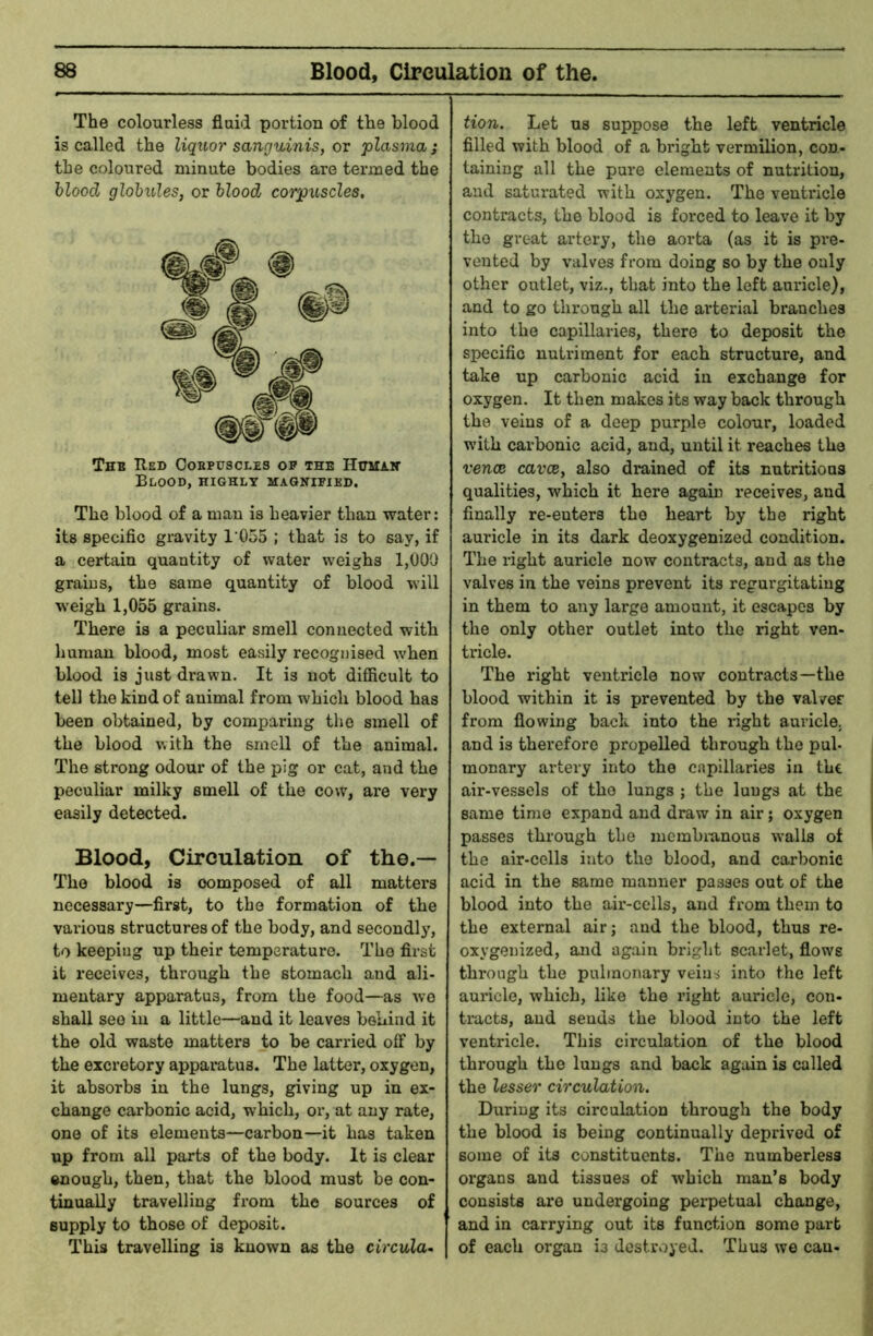 The colourless fluid portion of the blood is called the liquor sanguinis, or plasma; the coloured minute bodies are termed the blood globules, or blood corpuscles. The Red Cobpuscles op the Htimah Blood, highly magnipied. The blood of a man is heavier than water: its specific gravity 1‘055 ; that is to say, if a certain quantity of water weighs 1,000 grains, the same quantity of blood will weigh 1,055 grains. There is a peculiar smell connected with human blood, most easily recognised when blood is just drawn. It is not difficult to tell the kind of animal from which blood has been obtained, by comparing the smell of the blood with the smell of the animal. The strong odour of the pig or cat, and the peculiar milky smell of the cow, are very easily detected. Blood, Circulation of the.— The blood is composed of all matters necessary—first, to the formation of the various structures of the body, and secondly, to keeping up their temperature. The first it receives, through the stomach and ali- mentary apparatus, from the food—as wo shall see in a little—and it leaves behind it the old waste matters to be carried off by the excretory apparatus. The latter, oxygen, it absorbs in the lungs, giving up in ex- change carbonic acid, which, oi‘, at any rate, one of its elements—carbon—it has taken up from all parts of the body. It is clear enough, then, that the blood must be con- tinually travelling from the sources of supply to those of deposit. This travelling is known as the circular tion. Let us suppose the left ventricle filled with blood of a bright vermilion, con- taining all the pure elements of nutrition, and saturated with oxygen. The venti'icle contracts, the blood is forced to leave it by the great artery, the aorta (as it is pre- vented by valves from doing so by the only other outlet, viz., that into the left auricle), and to go through all the arterial bi’anches into the capillaries, there to deposit the specific nutriment for each structure, and take up carbonic acid in exchange for oxygen. It then makes its way back through the veins of a deep purple colour, loaded with carbonic acid, and, until it reaches the vence cavce, also drained of its nutritious qualities, which it here again receives, and finally re-enters the heart by the right auricle in its dark deoxygenized condition. The right auricle now contracts, and as the valves in the veins prevent its regurgitating in them to any large amount, it escapes by the only other outlet into the right ven- tricle. The right ventricle now contracts—the blood within it is prevented by the valvef from flowing back into the right auricle, and is therefore propelled through the pul- monary artery into the capillaries in the air-vessels of the lungs ; the lungs at the same time expand and draw in air; oxygen passes through the mcmbianous walls of the air-cells into the blood, and carbonic acid in the same manner passes out of the blood into the air-cells, and from them to the external air; and the blood, thus re- oxygenized, and again bright scarlet, flows through the pulmonary veins into the left auricle, which, like the right auricle, con- tracts, and sends the blood into the left ventricle. This circulation of the blood through the lungs and back again is called the lesser circulation. During its circulation through the body the blood is being continually deprived of some of its constituents. The numberless organs and tissues of which man’s body consists are undergoing perpetual change, and in carrying out its function some part of each organ is destroyed. Thus we can-