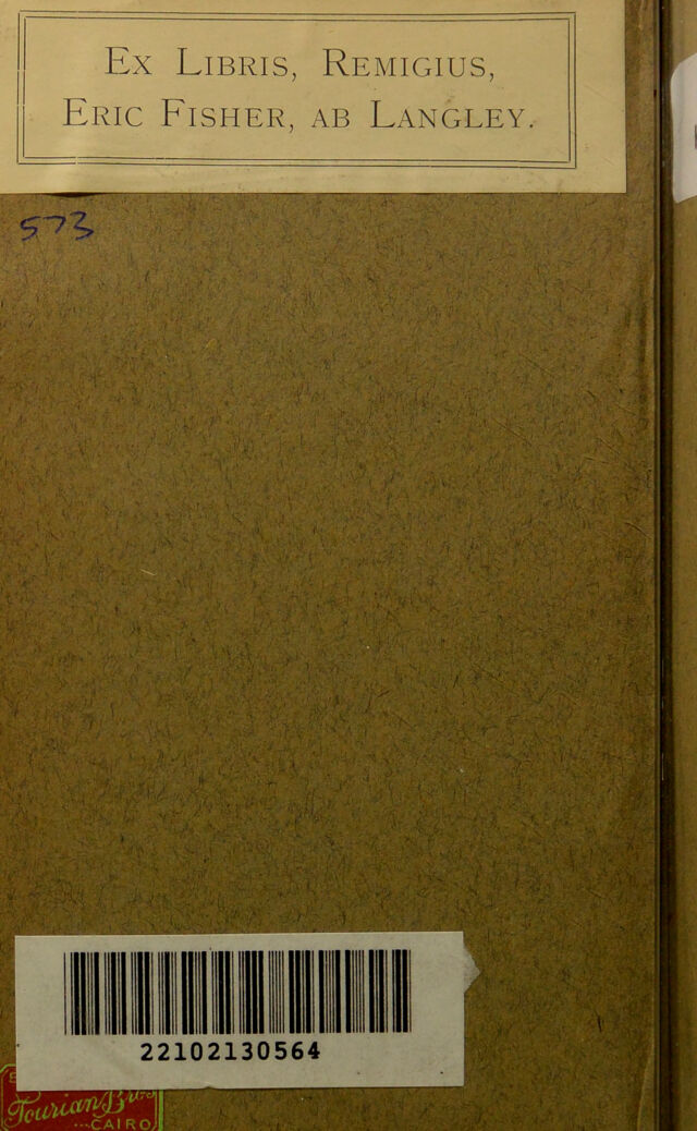 digitised image 2