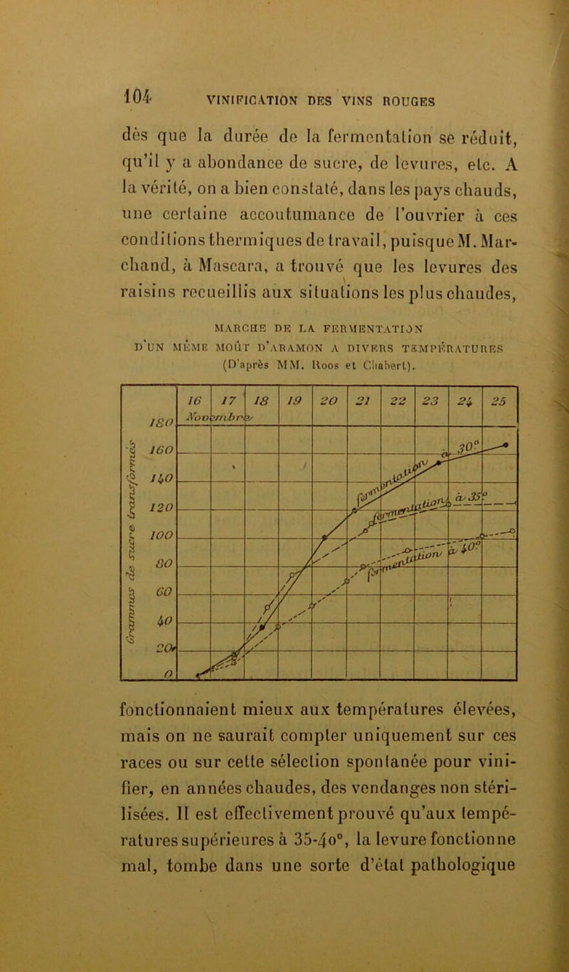 dès que la durée de la fermentation se réduit, qu’il y a abondance de sucre, de levures, etc. A la vérité, on a bien constaté, dans les pays chauds, une certaine accoutumance de l’ouvrier à ces conditionsthermiques de travail, puisqueM. Mar- chand, à Mascara, a trouvé que les levures des \ raisins recueillis aux situations les plus chaudes, MARCHE DE LA FERMENTATION D'UN MÊME MOÛT D’ARAMON A DIVERS TEMPÉRATURES (D’après MM. lloos et Cliaherl). fonctionnaient mieux aux températures élevées, mais on ne saurait compter uniquement sur ces races ou sur cette sélection spontanée pour vini- fier, en années chaudes, des vendanges non stéri- lisées. Il est effectivement prouvé qu’aux tempé- ratures supérieures à 35-4o°, la levure fonctionne mal, tombe dans une sorte d’étal pathologique