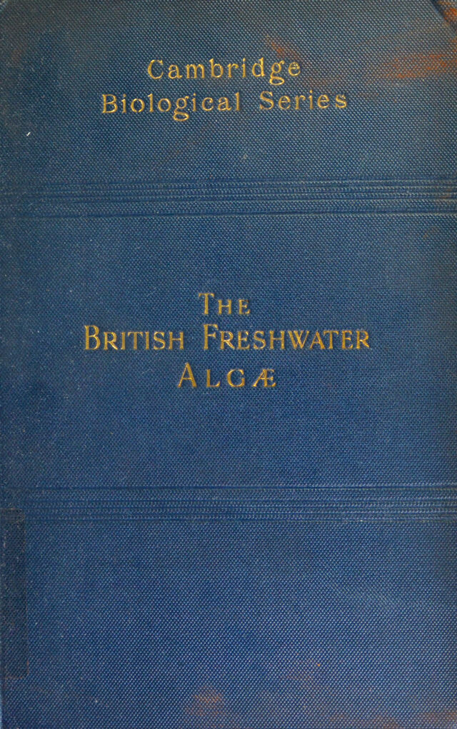 No text description is available for this image