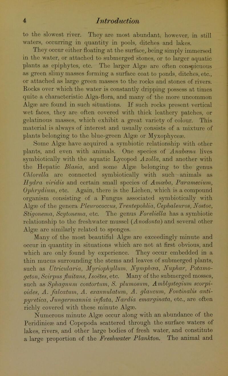 to the slowest river. They are most abundant, however, in still waters, occurring in quantity in pools, ditches and lakes. They occur either floating at the surface, being simply immersed in the water, or attached to submerged stones, or to larger aquatic plants as epiphytes, etc. The larger Algae are often conspicuous as green slimy masses forming a surface coat to ponds, ditches, etc., or attached as large green masses to the rocks and stones of rivers. Rocks over which the water is constantly dripping possess at times quite a characteristic Alga-flora, and many of the more uncommon Algae are found in such situations. If such rocks present vertical wet faces, they are often covered with thick leathery patches, or gelatinous masses, which exhibit a great variety of colour. This material is always of interest and usually consists of a mixture of plants belonging to the blue-green Algae or Myxophyceae. Some Algae have acquired a symbiotic relationship with other plants, and even with animals. One species of Anabcena lives symbiotically with the aquatic Lycopod Azolla, and another with the Hepatic Blasia, and some Algae belonging to the genus Chlorella are connected symbiotically with such animals as Hydra viridis and certain small species of Amoeba, Paramecium, Ophrydium, etc. Again, there is the Lichen, which is a compound organism consisting of a Fungus associated symbiotically with Algae of the genera Pleurococcus, Trentepohlia, Cephaleuros, Nostoc, Stigonema, Scytunema, etc. The genus Foreliella has a symbiotic relationship to the freshwater mussel (Anodonta) and several other Algae are similarly related to sponges. Many of the most beautiful Algae are exceedingly minute and occur in quantity in situations which are not at first obvious, and which are only found by experience. They occur embedded in a thin mucus surrounding the stems and leaves of submerged plants, such as Utricularia, Myriophyllum, Nymph cea, Nuphar, Potamo- geton, Scirpus jiuitans, Isoetes, etc. Many of the submerged mosses, such as Sphagnum contortum, S. plumosum, Amblystegium scorpi- oides, A. falcatum, A. exannidatum, A. glaucum, Fontinalis anti- pyretica, Jungermannia inflata, Nardia emarginata, etc., are often richly covered with these minute Algae. Numerous minute Algae occur along with an abundance of the Peridinieae and Copepoda scattered through the surface waters of lakes, rivers, and other large bodies of fresh water, and constitute a large proportion of the Freshwater Plankton. The animal and