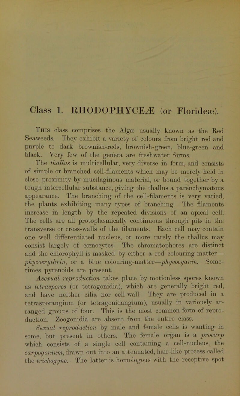 Class 1. RHODOPHYCEjE (or Floridese). This class comprises the Algie usually known as the Red Seaweeds. They exhibit a variety of colours from bright red and purple to dark brownish-reds, brownish-green, blue-green and black. Very few of the genera are freshwater forms. The thallus is multicellular, very diverse in form, and consists of simple or branched cell-filaments which may be merely held in close proximity by mucilaginous material, or bound together by a tough intercellular substance, giving the thallus a parenchymatous appearance. The branching of the cell-filaments is very varied, the plants exhibiting many types of branching. The filaments increase in length by the repeated divisions of an apical cell. The cells are all protoplasmically continuous through pits in the transverse or cross-walls of the filaments. Each cell may contain one well differentiated nucleus, or more rarely the thallus may consist largely of coenocytes. The chromatophores are distinct and the chlorophyll is masked by either a red colouring-matter— phycoerythrin, or a blue colouring-matter—phycocyanin. Some- times pyrenoids are present. Asexual reproduction takes jilace by motionless spores known as tetraspores (or tetragonidia), which are generally bright red, and have neither cilia nor cell-wall. They are produced in a tetrasporangium (or tetragonidangium), usually in variously ar- ranged groups of four. This is the most common form of repro- duction. Zoogonidia are absent from the entire class. Sexual reproduction by male and female cells is wanting in some, but present in others. The female organ is a procarp which consists of a single cell containing a cell-nucleus, the carpogonium, drawn out into an attenuated, hair-like process called the trichogyne. The latter is homologous with the recejitive spot