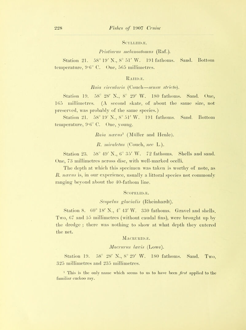 ScYLLITDJE. Pristiurus melanostomus (Raf.). Station 21. 58° 19' N., 8° 51' W. 191 fathoms. Sand. Bottom temperature, 9'60 C. One, 565 millimetres. Raiidal Raid circularis (Couch—sensu stricto). Station 19. 58° 28' N., 8° 29' W. 180 fathoms. Sand. One, 165 millimetres. (A second skate, of about the same size, not preserved, was probably of the same species.) Station 21. 58° 19' N., 8° 51' W. 191 fathoms. Sand. Bottom temperature, 9'6° C. One, young. Raia ncevus1 (Muller and Henle). R. miraletus (Couch, nec L ). Station 23. 58° 49' N., 6° 35' W. 72 fathoms. Shells and sand. One, 73 millimetres across disc, with well-marked ocelli. The depth at which this specimen was taken is worthy of note, as R. ncevus is, in our experience, usually a littoral species not commonly ranging beyond about the 40-fathom line. ScOPELIDiE. Scopelus gldcicilis (Rheinhardt). Station 8. 60° 18' N., 4° 43' W. 330 fathoms. Gravel and shells. Two, 67 and 55 millimetres (without caudal fins), were brought up by the dredge ; there was nothing to show at what depth they entered the net. Macruriive. Mdcrurus Icevis (Lowe). Station 19. 58° 28' N., 8° 29' W. 180 fathoms. Sand. Two, 325 millimetres and 235 millimetres. 1 This is the only name which seems to us to have been first applied to the familiar cuckoo ray.
