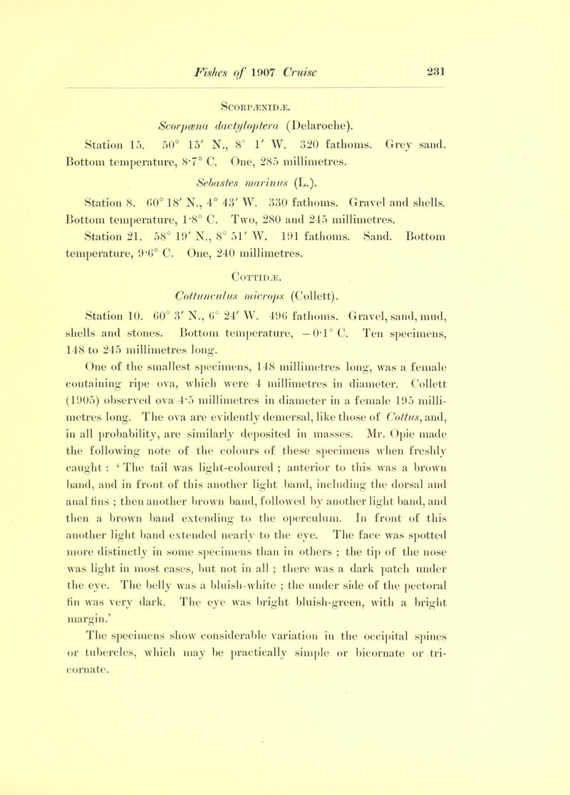ScORPiENIDiE. Scorpcena dactyloptera (Delaroche). Station 15. 50° 15' N., 8° 1' W. 320 fathoms. Grey sand. Bottom temperature, 8'7° C. One, 285 millimetres. Sehastes marinus (L.). Station 8. 60° 18' N., 4° 43' W. 330 fathoms. Gravel and shells. Bottom temperature, l'S0 C. Two, 280 and 245 millimetres. Station 21. 58° 19' N., 8° 51' W. 191 fathoms. Sand. Bottom temperature, 9,6° C. One, 240 millimetres. CoTTimp. Cottunculus mice ops (Collett). Station 10. 00° 3' N., 0° 24' W. 49G fathoms. Gravel, sand, mud, shells and stones. Bottom temperature, — 0T°C. Ten specimens, 148 to 245 millimetres long. One of the smallest specimens, 148 millimetres long, was a female containing ripe ova, which were 4 millimetres in diameter. Collett (1905) observed ova 4\5 millimetres in diameter in a female 195 milli- metres long. The ova are evidently demersal, like those of Coitus^ and, in all probability, are similarly deposited in masses. Mr. Opie made the following note of the colours of these specimens when freshly caught : ‘ The tail was light-coloured ; anterior to this was a brown band, and in front of this another light band, including the dorsal and anal tins ; then another brown band, followed by another light band, and then a brown band extending to the operculum. In front of this another light band extended nearly to the eye. The face was spotted more distinctly in some specimens than in others ; the tip of the nose was light in most cases, but not in all ; there was a dark patch under the eye. The belly was a bluish-white ; the under side of the pectoral fin was very dark. The eye was bright bluish-green, with a bright margin.’ The specimens show considerable variation in the occipital spines or tubercles, which may be practically simple or bicornate or tri- cornate.
