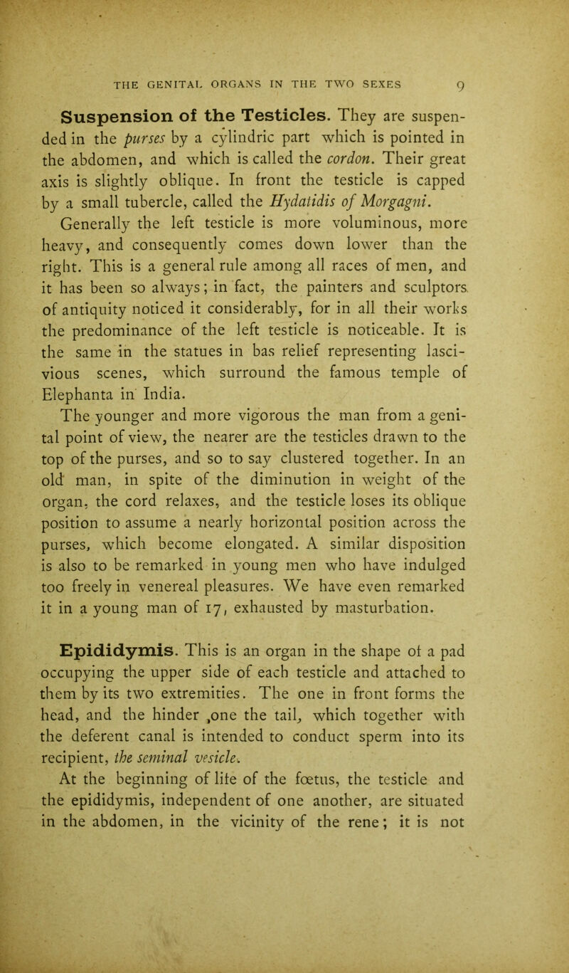 Suspension of the Testicles. They are suspen- ded in the purses by a cylindric part which is pointed in the abdomen, and which is called the cordon. Their great axis is slightly oblique. In front the testicle is capped by a small tubercle, called the Hydatidis of Morgagni. Generally the left testicle is more voluminous, more heavy, and consequently comes down lower than the right. This is a general rule among all races of men, and it has been so always; in fact, the painters and sculptors, of antiquity noticed it considerably, for in all their works the predominance of the left testicle is noticeable. It is the same in the statues in bas relief representing lasci- vious scenes, which surround the famous temple of Elephanta in India. The younger and more vigorous the man from a geni- tal point of view, the nearer are the testicles drawn to the top of the purses, and so to say clustered together. In an old man, in spite of the diminution in weight of the organ, the cord relaxes, and the testicle loses its oblique position to assume a nearly horizontal position across the purses, which become elongated. A similar disposition is also to be remarked in young men who have indulged too freely in venereal pleasures. We have even remarked it in a young man of 17, exhausted by masturbation. Epididymis. This is an organ in the shape of a pad occupying the upper side of each testicle and attached to them by its two extremities. The one in front forms the head, and the hinder ,one the tail, which together with the deferent canal is intended to conduct sperm into its recipient, the seminal vesicle. At the beginning of life of the foetus, the testicle and the epididymis, independent of one another, are situated in the abdomen, in the vicinity of the rene; it is not