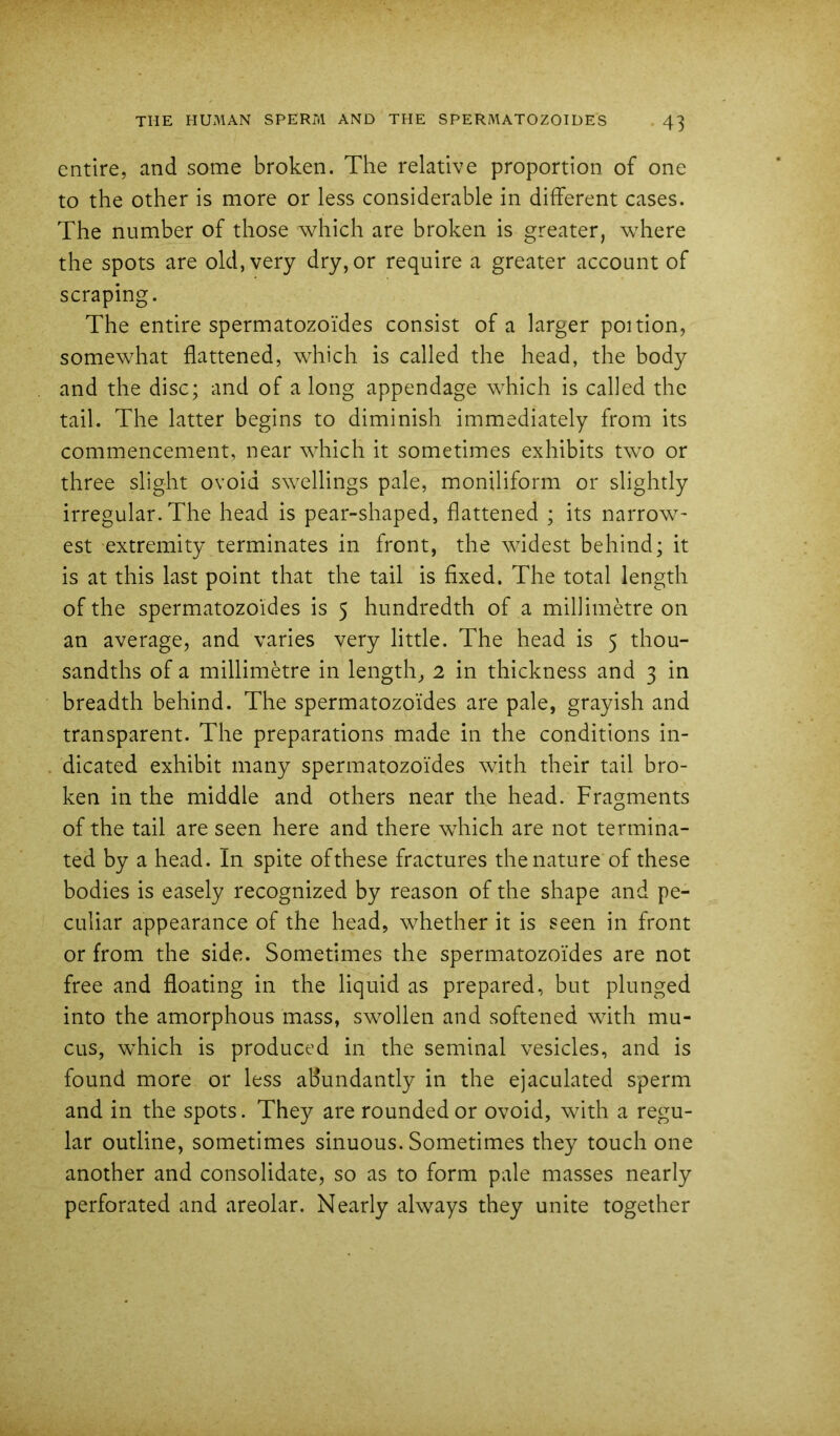 entire, and some broken. The relative proportion of one to the other is more or less considerable in different cases. The number of those which are broken is greater, where the spots are old, very dry, or require a greater account of scraping. The entire spermatozoi'des consist of a larger poition, somewhat flattened, which is called the head, the body and the disc; and of a long appendage which is called the tail. The latter begins to diminish immediately from its commencement, near which it sometimes exhibits two or three slight ovoid swellings pale, moniliform or slightly irregular. The head is pear-shaped, flattened ; its narrow' est extremity terminates in front, the widest behind; it is at this last point that the tail is flxed. The total length of the spermatozoides is 5 hundredth of a millimetre on an average, and varies very little. The head is 5 thou- sandths of a millimetre in length, 2 in thickness and 3 in breadth behind. The spermatozoides are pale, grayish and transparent. The preparations made in the conditions in- dicated exhibit many spermatozoides with their tail bro- ken in the middle and others near the head. Fragments of the tail are seen here and there which are not termina- ted by a head. In spite ofthese fractures the nature of these bodies is easely recognized by reason of the shape and pe- culiar appearance of the head, whether it is seen in front or from the side. Sometimes the spermatozoides are not free and floating in the liquid as prepared, but plunged into the amorphous mass, swollen and softened with mu- cus, which is produced in the seminal vesicles, and is found more or less abundantly in the ejaculated sperm and in the spots. They are rounded or ovoid, with a regu- lar outline, sometimes sinuous. Sometimes they touch one another and consolidate, so as to form pale masses nearly perforated and areolar. Nearly always they unite together