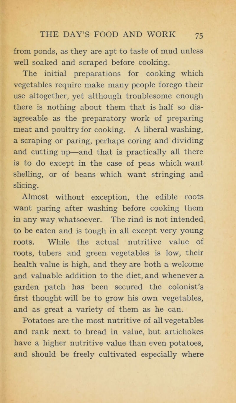 from ponds, as they are apt to taste of mud unless well soaked and scraped before cooking. The initial preparations for cooking which vegetables require make many people forego their use altogether, yet although troublesome enough there is nothing about them that is half so dis- agreeable as the preparatory work of preparing meat and poultry for cooking. A liberal washing, a scraping or paring, perhaps coring and dividing and cutting up—and that is practically all there is to do except in the case of peas which want shelling, or of beans which want stringing and slicing. Almost without exception, the edible roots want paring after washing before cooking them in any way whatsoever. The rind is not intended to be eaten and is tough in all except very young roots. While the actual nutritive value of roots, tubers and green vegetables is low, their health value is high, and they are both a welcome and valuable addition to the diet, and whenever a garden patch has been secured the colonist’s first thought will be to grow his own vegetables, and as great a variety of them as he can. Potatoes are the most nutritive of all vegetables and rank next to bread in value, but artichokes have a higher nutritive value than even potatoes, and should be freely cultivated especially where