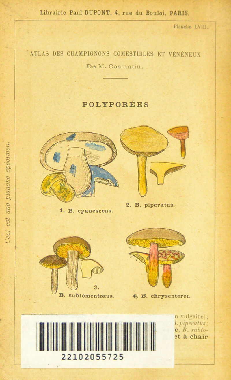 Ceci est une planche spécimen. Librairie Paul DUPONT, 4. rue du Bouloi. PARIS. l'Ianclic I.VIII. 'ATLAS DES CHAMPIGNONS COMESTIBLES ET VÉNÉNEUX De M. Coslantin. POLYPORÉES 2. B. plperatus= 1. B. cyanescens.