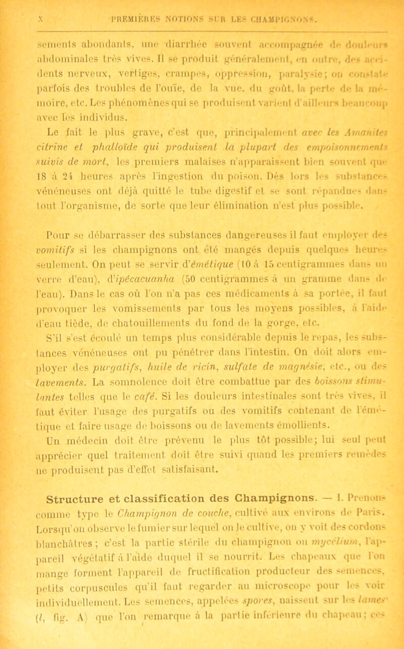sements abondants, une diarrhée souvent accompagnée de douleurs abdominales très vives. Il se produit généralement, en outre, des acci- dents nerveux, verliges, crampes, oppression, paralysie; on constate parfois des troubles de l’ouïe, de la vue. du goût, la perte de la mé- moire, etc. Les phénomènes qui se produisent varient d'ailleurs beaucoup avec les individus. Le fait le plus grave, c’est que, principalement avec les Amanites citrine et phalloïde qui produisent la plupart des empoisonnements suivis de mort, les premiers malaises n’apparaissent bien souvent que 18 à 24 heures après l'ingestion du poison. Dés lors les substances vénéneuses ont déjà quitté le tube digestif et se sont répandue- dans tout l’organisme, de sorte que leur élimination n’est plus possible. Pour se débarrasser des substances dangereuses il faut employer des vomilifs si les champignons ont été mangés depuis quelques heures seulement. On peut se servir d'émétique (10 à 15 centigrammes dans un verre d’eau), à'ipécacuanha (50 centigrammes à un gramme dans de l’eau). Dans le cas où l’on n’a pas ces médicaments à sa portée, il faul provoquer les vomissements par tous les moyens possibles, à l'aide d’eau tiède, do. chatouillements du fond de la gorge, etc. S'il s’est écoulé un temps plus considérable depuis le repas, les subs- tances vénéneuses ont pu pénétrer dans l'intestin. On doit alors em- ployer des purgatifs, huile de ricin, sulfate de magnésie, etc., ou des lavements. La somnolence doit être combattue par des boissons stimu- lantes telles que le café. Si les douleurs intestinales sont très vives, il faut éviter l’usage des purgatifs ou des vomitifs contenant de l'émé- tique et faire usage de boissons ou de lavements émollients. Un médecin doit être prévenu le plus tôt possible; lui seul peut apprécier quel traitement doit être suivi quand les premiers remèdes no produisent pas d’effet satisfaisant. Structure et classification des Champignons. — 1. Prenons comme type le Champignon de couche, cultivé aux environs de Paris. Lorsqu’on observe le fumier sur lequel on Je cultive, ou y voit des cordons blanchâtres; c’est la partie stérile du champignon ou mycélium, l'ap- pareil végétatif à l’aide duquel il se nourrit. Les chapeaux que l'on mange forment l'appareil de fructification producteur des semences, pelils corpuscules qu’il faut regarder au microscope pour les voir individuellement. Les semences, appelées spores, naissent sur les lames (I, fis. A) que l'on remarque ci la partie inférieure du chapeau ; cos