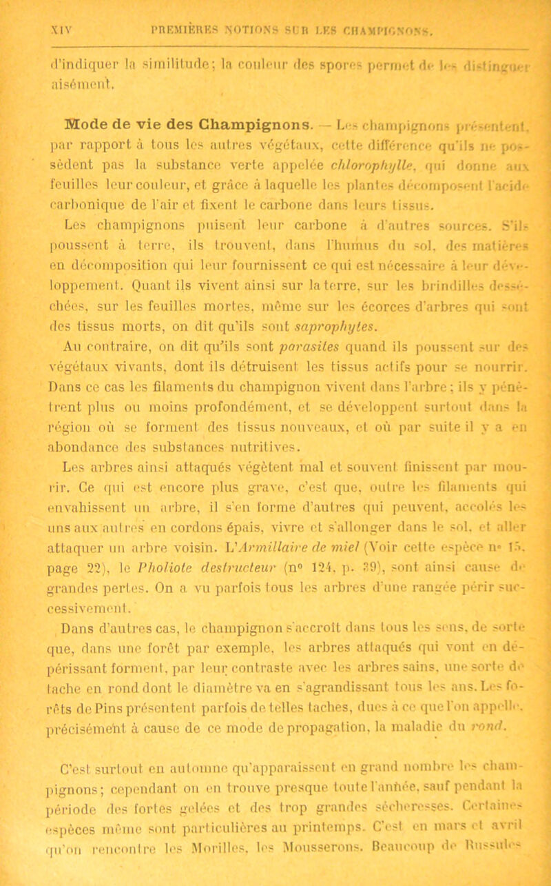 d’indiquer !n similitude; la couleur des aisément. spores permet de |<- distinguer Mode de vie des Champignons. — Les champignons pré-eritent. par rapport à tous les autres végétaux, cette différence qu'ils ne pos- sèdent pas la substance verte appelée chlorophylle, qui donne aux feuilles leur couleur, et grâce à laquelle les plantes décomposent l'acide carbonique de l'air et fixent le carbone dans leurs tissus. Les champignons puisent leur carbone à d’autres sources. S’ils poussent à terre, ils trouvent, dans l’humus du sol. des matières en décomposition qui leur fournissent ce qui est nécessaire à leur déve- loppement. Quant ils vivent ainsi sur la terre, sur les brindilles dessé- chées, sur les feuilles mortes, même sur les écorces d’arbres qui sont des tissus morts, on dit qu’ils sont saprophytes. Au contraire, on dit qu’ils sont parasites quand ils poussent sur des végétaux vivants, dont ils détruisent les tissus actifs pour se nourrir. Dans ce cas les filaments du champignon vivent dans l’arbre ; ils y pénè- trent plus ou moins profondément, et se développent surtout dans la région où se forment des tissus nouveaux, et où par suite il y a en abondance des substances nutritives. Les arbres ainsi attaqués végètent mal et souvent finissent par mou- rir. Ce qui est encore plus grave, c’est que. outre les filaments qui envahissent un arbre, il s'en forme d’autres qui peuvent, accolés les uns aux autres en cordons épais, vivre et s'allonger dans le sol. et aller attaquer un arbre voisin. L’Armillaire de miel (Voir cette espèce n» 15, page 22), le Pholiote destructeur (n° 12i. p. 39), sont ainsi cause de grandes pertes. On a vu parfois tous les arbres d’une rangée périr suc- cessivement. Dans d’autres cas, le champignon s'accroît dans tous les sens, de sorte que, dans une forêt par exemple, les arbres attaqués qui vont en dé- périssant forment, par leur contraste avec les arbres sains, une sorte de tache en rond dont le diamètre va en s'agrandissant tous les ans. Les fo- rêts de Pins présentent parfois do. telles taches, dues à ce que l'on appelle, précisément à cause de ce mode de propagation, la maladie du rond. C’est surtout eu automne qu'apparaissent en grand nombre les cham- pignons; cependant on en trouve presque toute l anfiée. sauf pendant la période des fortes gelées et des trop grandes sécheresses. Certaine- espèces même sont particulières au printemps. C’est en mars < t avril qu’on rencontre les Morilles, les Mousserons. Beaucoup de Russule-