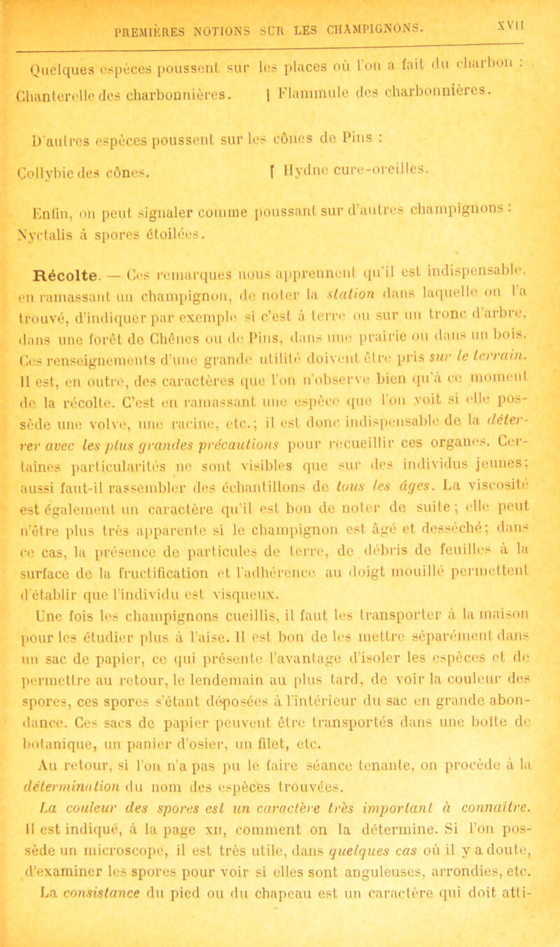 Quelques espèces poussent sur les places où l'on a fait du charbon Chanterelle des charbonnières. 1 Flammule des charbonnières. D’autres espèces poussent sur les cônes de Pins : Collybic des cônes. I llydne cure-oreilles. Enfin, on peut signaler comme poussant sur d’autres champignons: Nyctalis à spores étoilées. Récolte. — Ces remarques nous apprennent qu'il est indispensable, en ramassant un champignon, de noter la station dans laquelle on I a trouvé, d’indiquer par exemple si c’est à terre ou sur un tronc d arbre, dans une forêt do Chênes ou de. Pins, dans une prairie ou dans un bois. Ces renseignements d’une grande utilité doivent être pris sur le terrain. 11 est, en outre, des caractères que l’on n’observe bien qu'a cfe moment de la récolte. C’est en ramassant une espèce que ion voit si elle pos- sède une volve, une racine, etc.; il est donc indispensable de la déter- rer avec les plus grandes précautions pour recueillir ces organes. Cer- taines particularités no sont visibles que sur des individus jeunes: aussi faut-il rassembler des échantillons do tous les âges. La viscosité est également un caractère qu’il est bon de noter de suite; elle peut nôtre plus très apparente si le champignon est âgé et desséché; dans ce cas, la présence de particules de terre, de débris de feuilles à la surface de la fructification et l'adhérence au doigt mouillé permettent d établir que l'individu est visqueux. Une fois les champignons cueillis, il faut les transporter à la maison pour les étudier plus à l’aise. Il est bon de les mettre séparément dans un sac de papier, ce qui présente l’avantage d’isoler les espèces et de permettre au retour, le lendemain au plus tard, de voir la couleur des spores, ces spores s'étant déposées à l'intérieur du sac en grande abon- dance. Ces sacs de papier peuvent être transportés dans une boite de botanique, un panier d’osier, un filet, etc. Au retour, si l’on n’a pas pu le faire séance tenante, on procède à la détermination du nom des espèces trouvées. La couleur des spores esl un caractère très important à connaître. Il est indiqué, à la page xir, comment on la détermine. Si l’on pos- sède un microscope, il est très utile, dans quelques cas où il y a doute, d’examiner les spores pour voir si elles sont anguleuses, arrondies, etc. La consistance du pied ou du chapeau est un caractère qui doit atli-