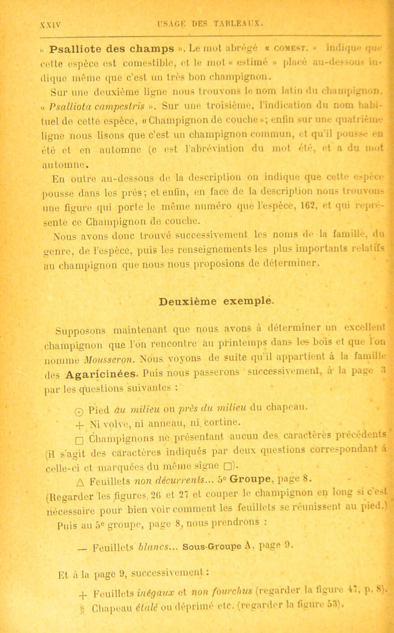 c Psalliote des champs ». Le mot abrégé a comest. ■ indiqm- ijm- C(!lle espèce est comestible, et le mot » estimé » placé au-de--ou- in- dique même <pie c’est un très bon champignon. Sur une deuxième ligne nous trouvons le nom latin du champignon. « Pscclliota campeslris ». Sur une troisième, l’indication du norn habi- tuel de celle espèce, « Champignon de couche»; enfin sur une quatrième ligne nous lisons que c’est un champignon commun, et qu'il pousse en été et en automne (e est l’abréviation du mot été, et a du mot automne. En outre au-dessous de la description on indique que cette espèce pousse dans les prés; et enfin, en face de la description nous trouvons une figure qui porte le même numéro que l’espèce, 162, et qui repré- sente ce Champignon de couche. Nous avons donc trouvé successivement les noms de la famille, du genre, de l’espèce, puis les renseignements les plus importants relatifs au champignon que nous nous proposions de déterminer. Deuxième exemple. Supposons maintenant que nous avons à déterminer un excellent champignon que l’on rencontre au printemps dans les bois et que Ion nomme Mousseron. Nous voyons de suite qu'il appartient à la famille des Agaricinées. Puis nous passerons successivement, à la page 3 ^ par les questions 'suivantes : © Pied au milieu ou près du milieu du chapeau. + Ni volve, ni anneau, ni cortine. pq Champignons ne présentant aucun des caractères pi écédents (il s agit des caractères indiqués par deux questions correspondant à celle-ci et marquées du même signe □). A Feuillets non décurrenls... 5e Groupe, page 8. (Regarder les figures, 26 et 27 et couper le champignon en long si c’est . nécessaire pour bien voir comment les feuillets se réunissent nu pied.) ■ Puis au 5» groupe, page 8, nous prendrons : — Feuillets blancs... Sous-Groupe A. page 9. Et à la page 9, successivement : -(- Feuillets inégaux et non fourchus (regarder la figure 47, p. S). s. Chapeau étalé ou déprimé etc. (regarder la figure