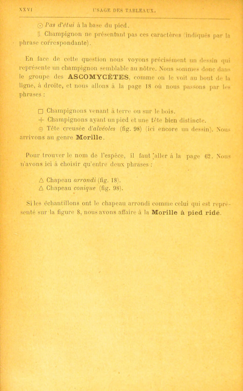 O l'as d’étui à la base du pied. S Champignon ne présentant pas ces caractères 'indiqués par la phrase correspondante). En face de cette question nous voyons précisément un <1.--in qui représente un champignon semblable au nôtre. Nous sommes donc dan- le groupe des ASCOMYCÈTES, comme on le voit au bout <b l„ ligne, à droite, et nous allons à la page 18 où nous passons par les phrases : □ Champignons venant à terre ou sur le bois. + Champignons ayant un pied et une tête bien distincte. © Tête creusée cYalvéoles (fig. 98) (ici encore un dessin). Nous arrivons au genre Morille. Pour trouver le nom de l’espèce, il faut [aller à la page 62. Nous n'avons ici à choisir qu’entre deux phrases : A Chapeau arrondi (fig. 18). A Chapeau conique (fig. 98). Silos échantillons ont le chapeau arrondi comme celui qui est repré- senté sur la figure 8, nous avons affaire à la Morille à pied ridé.