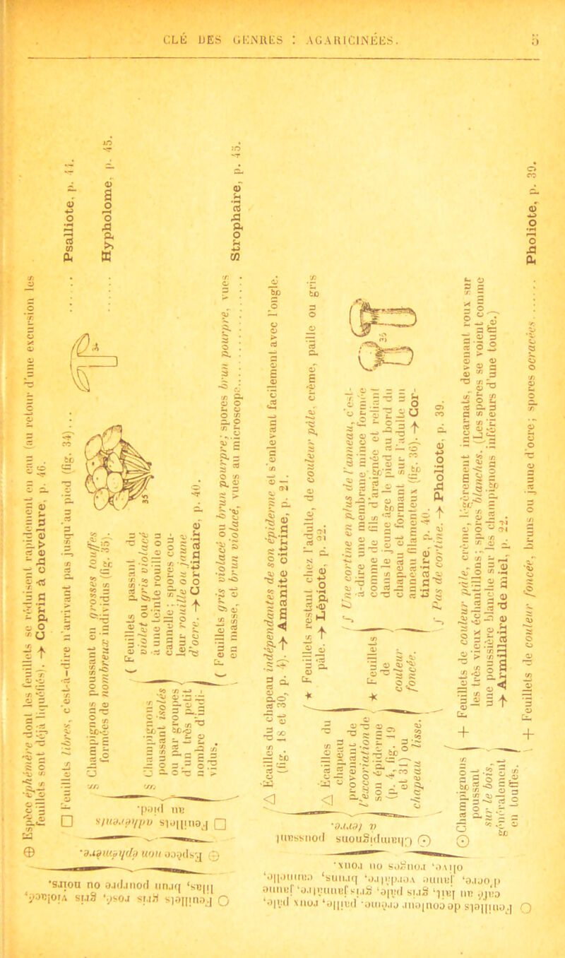 0 o rt en eu 0 a 0 H o o 05 « A eu eu O >> ÎH B K CQ 0 O O A eu © — <D 2 s- §5 *3 0 — K* rt 0 ü x ^ = g -r 'S - eu 0 o X U 1 + 5>T3 •£ ■£ ■M •v _o o ~ o - 3 -3 03 3, *pdl<I I1B ?yp» siüiijnaj □ □ s/ttd, ’dupuepydp uou oaçdsg © *9JTou no oadanod unjq ‘siqq owjoiA sud Vsoj sud s^ojRnDj Q te 3 ^ S .«.•S *<U u s £ O ü Ig 3 ^ A s^.T *«u • x - o s 'ü s- 5 TJ l'S - O ■ O ;U 3 Ü ' D 03 s a !t A la ^ O) -.2 !.§• “ -f X I J ci •— 3 O. ü Ci, * ci. 5 s S : 3.« 5 r ta 2, «o rs-fi « «O o ^ . c • ï tC O A eu ! « 5 « « « O Ch ° ~ : 0 £ j 1j ° «d-S ? , O 03 Ji.' = « ‘-3 2 3-2^ ü Cj ~ ~ a a tj s = f 03 z ^ -2 5? • 5 ^ — 3* 3 5, — 3 «s 2 a> b *3T jT « s V}< HJ O — ^ O s- v? ■y ü o g a •■ C- H o 3, <] 3-^> « —- 03 ■ ’OAAdf y lUTissnod suouSjduiBijQ (T) ; <3 3 _« 03 Cl, + x o 7» .2* 3 S 3 .ta g*® rn 03 <JJ - s gr û. «j O 5‘ o 3 ta o U 3> 3 x o E S 3 g § .SP ’03 S 3* ter E r « o ^ _2 5 x - __r « d§ s.a | | fl g © '‘-H 3 J 3 ^ - * £ 3 0 £ 2 * o.£j - §3.1,3 2 « > “3 o °-«§i  a. H J2 o ^ -2 5+ 3 Ci, + ■xno.i no sodnoj ‘oaijo ‘o|l«)iiiîu;) ‘suiuq ‘yjlyp.ioA ouuuj' ‘aaoo p Olllllîj Oil|BUlUif SJdâ ‘3[\îd S|.lâ ‘'J1UJ 1117 ^JJBD ‘0|ij(I siioj ‘y||nul -ouiç.iü J»o|no3op si3||iuaj Q