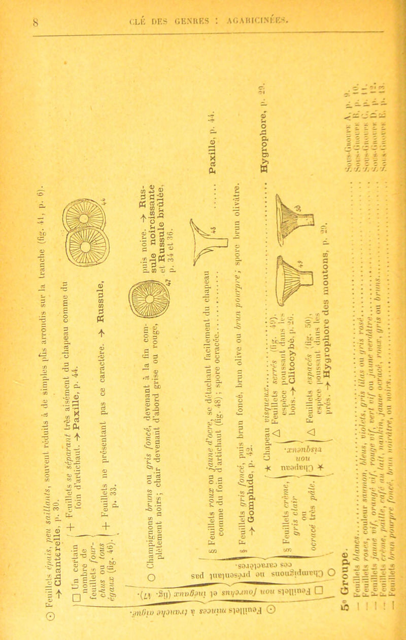 X ce Pk - 2 ? S g* _H p o a o Ô) >> » 5- .= •o O fl tr § fl to £ '5.® £ O æ eu J= o o  H = I •fl 5 çj - fl a> «.2 «c 2 T s* tr o ïc5 _2 -xnsnbsta u «ou -K nBodBqg * JT çj = ' •saoQiaifcrea soa S«d ^UB^UOSÿild ou suouStdanuo O .{,( g,|) xnvS.mt io snyounoj uou sjoninoj □ 'itnOw di/ouvu) ? yastitiu sianjUBj O e — *m « -/. x x 7. à I ! ! ! !