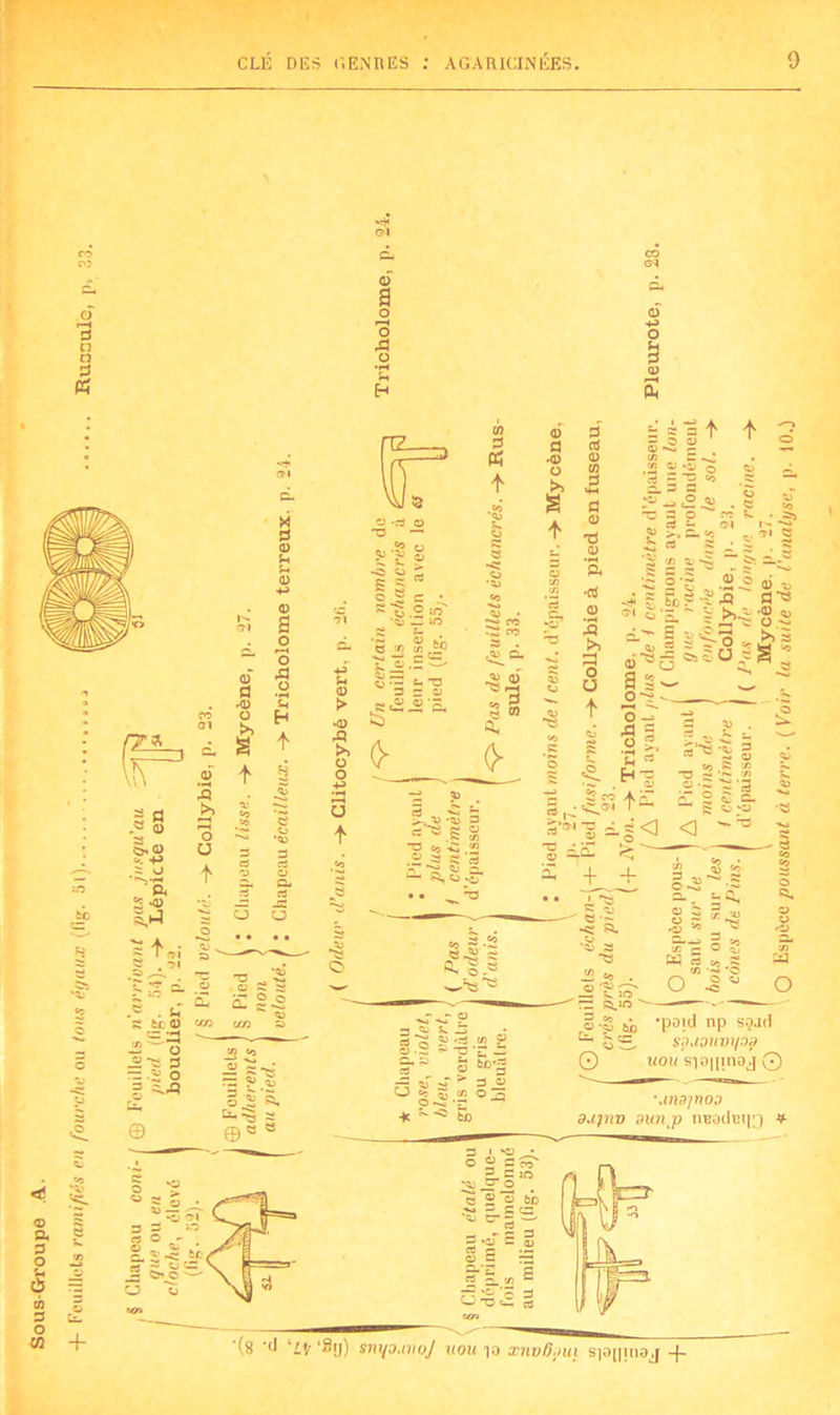 ‘ST1 CH CO P? (£4 d (H 3 ci Q 3 o A G *n H eu d +j o