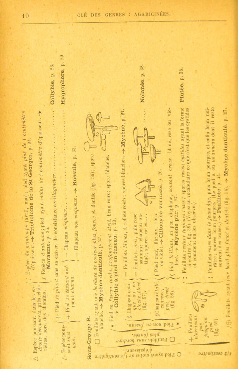 Ci (N A >> O O 0) U O A a o - tj) >> W w g o F 0 .« CC & GS 0 ‘«'Ü - 0 -S ’Z o '^§ -=.2 g/fc I? S - ■§ 6 s 2 o U v rt 1* tü ça r> r3 i/. O.^o »£. O 7* (S^*- <3.