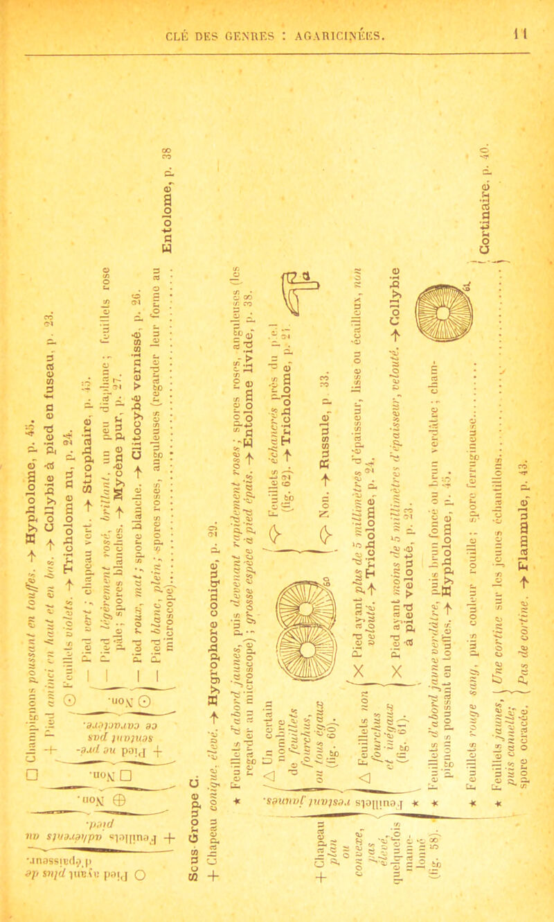 CO CO cL G) O 0) 75 <D & P, 6 «s S 0) s s O >> A S P. o >> U H A + ‘ ^ s =5 O) ■2 - ^ a ^ a -S S + x - *■< O A a. a _ O 5 fl •fl) • O e >> a m _« en fl S 3 > fcD -oj 2 A ^ >> £ O en O 3 +j ju '-fl 5 ü bp S t 9 s g O _ S 5 H g + J 5-3 - a- o J? Z ~ a a O M_J_L ■“ON O o □ ‘djdjjv.ivd do svd iuvjuos -ddd du poij -f U°N □ UOJSÎ © •p.itd nv sjvauDi/pv «lojiinaj -f 'jnassjBd^p 3p SVjd JIITÎÎlî pojj O