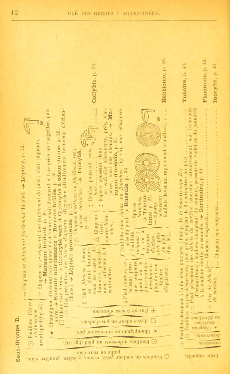 *Q >> O U O 2 O •O — O W CS .3 3 H c >> o o C <D ! 5 3 O 03 ;c: £ te .S _E.« o £ « -K u ».§ -(- •nvduuV'P saov.ij dp svcj ■+■ = Q -unupo p svd no ,tn?po aujny Cj •sod juvsswuiou du uouâjduiBq3 -K *(t9 !)' pojd sjudj,iypv 6]0||indj © g; Il . •§ J2 ■xudjjr.tqÿ no -2 = xndjpvd? = £ nvod«i|:i * &- o M|B|o xnoj no opiucl Lunp OJivumîf *01119.10 ‘o/prf .înojnoo op sjouinoj O « e + • sjudjjnjpp •dJ^pwîîo ‘dipunto orwq