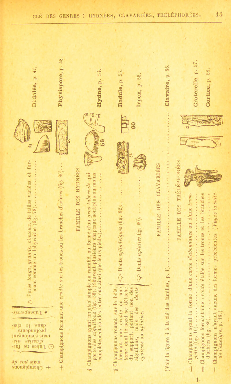 CLE DES GENRES : I1YDNÉES, CLAVARIÉES, THÉLÉPHORÉES. li) cû 0) U O Ch CD ra >» A ÇU <D a TJ É» K 5 rt « 0 a a 05 > -2 S 0$ U U O ü — bp H O. C « O o y -Bip 0| SÏIüp sjnopuojojd 1UBOUOjtia,S SIBUI -xip asxssV'j) -JOJ au saqnx O 9p Svd SÎ6UI suoii5icJiuBi|3 O + Cd -Cd 2 >■ ■< O td Q Cd •J ♦J S -ai a td ka C2 O K|g 2 vtd i-J “Ed S 1 w 13 H C/5 K ü - ~ô ri S «O Q Cd JS 'b JS V) U »? 13 ^3 O i—1 >d 23 O O £ 3 < 13 O C 8 <n u vi C3 S © b _S O -O VI 13 13 *X3 b 3 b 13 tf) 1/3 O KJ l o ! KJ © T3 O *3 T2J ü • C3 O ‘ O ’3 O 3 ri —• E «O • S 00 -rt r‘ vi tn os : • s • e 2 « 2 c p bo b bo S ‘5.-2 *3-ï2 : qj E S li - a S, 'O 2 3 o u