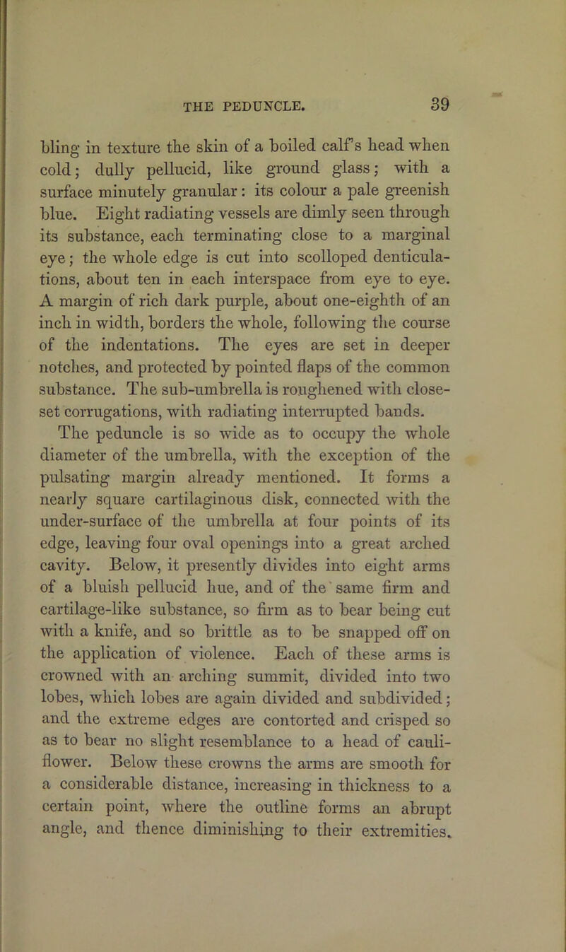 bling in texture the skin of a boiled calf s head when cold; dully pellucid, like ground glass; with a surface minutely granular: its colour a pale greenish blue. Eight radiating vessels are dimly seen through its substance, each terminating close to a marginal eye; the whole edge is cut into scolloped denticula- tions, about ten in each interspace from eye to eye. A margin of rich dark purple, about one-eighth of an inch in width, borders the whole, following the course of the indentations. The eyes are set in deeper notches, and protected by pointed flaps of the common substance. The sub-umbrella is roughened with close- set corrugations, with radiating interrupted bands. The peduncle is so wide as to occupy the whole diameter of the umbrella, with the exception of the pulsating margin already mentioned. It forms a nearly square cartilaginous disk, connected with the under-surface of the umbrella at four points of its edge, leaving four oval openings into a great arched cavity. Below, it presently divides into eight arms of a bluish pellucid hue, and of the' same firm and cartilage-like substance, so firm as to bear being cut with a knife, and so brittle as to be snapped off on the application of violence. Each of these arms is crowned with an arching summit, divided into two lobes, which lobes are again divided and subdivided; and the extreme edges are contorted and crisped so as to bear no slight resemblance to a head of cauli- flower. Below these crowns the arms are smooth for a considerable distance, increasing in thickness to a certain point, where the outline forms an abrupt angle, and thence diminishing to their extremities.