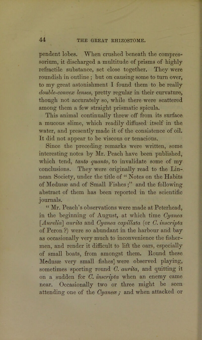 pendent lobes. When crashed beneath the compres- sorium, it discharged a multitude of prisms of highly retractile substance, set close together. They were roundish in outline ; but on causing some to turn over, to my great astonishment I found them to be really double-convex lenses, pretty regular in their curvature, though not accurately so, while there were scattered among them a few straight prismatic spicula. This animal continually threw off from its surface a mucous slime, which readily diffused itself in the water, and presently made it of the consistence of oil. It did not appear to be viscous or tenacious. Since the preceding remarks were written, some interesting notes by Mr. Peach have been published, which tend, tanto quanto, to invalidate some of my conclusions. They were originally read to the Lin- nean Society, under the title of “ Notes on the Habits of Medusae and of Small Fishes and the following abstract of them has been reported in the scientific journals. “ Mr. Peach’s observations were made at Peterhead, in the beginning of August, at which time Cyanea [.Aurelia] aurita and Cyanea capillata (or C. inscripta of Peron ?) were so abundant in the harbour and bay as occasionally very much to inconvenience the fisher- men, and render it difficult to lift the oars, especially of small boats, from amongst them. Round these Medusae very small fishes] were observed playing, sometimes sporting round C. aurita, and quitting it on a sudden for C. inscripta when an enemy came near. Occasionally two or three might be seen attending one of the Cyaneaand when attacked or
