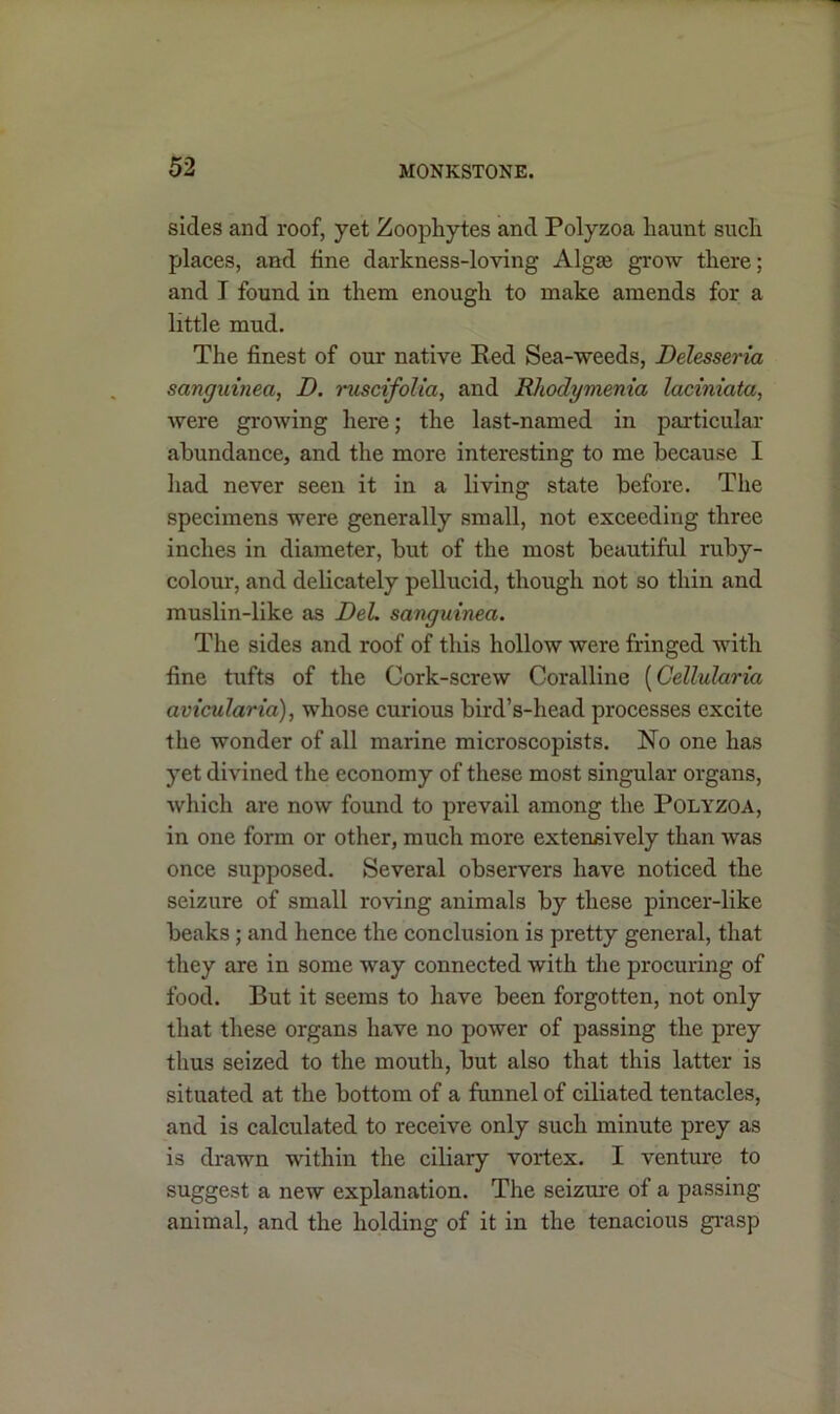 sides and roof, yet Zoophytes and Polyzoa haunt such places, and fine darkness-loving Algse grow there; and I found in them enough to make amends for a little mud. The finest of our native Red Sea-weeds, Delesseria sanguined, D. ruscifolia, and Rhodymenia laciniata, were growing here; the last-named in particular abundance, and the more interesting to me because I had never seen it in a living state before. The specimens were generally small, not exceeding three inches in diameter, but of the most beautiful ruby- colour, and delicately pellucid, though not so thin and muslin-like as DeL sanguinea. The sides and roof of this hollow were fringed with fine tufts of the Cork-screw Coralline (Cellularia avicuJaria), whose curious bird’s-head processes excite the wonder of all marine microscopists. No one has yet divined the economy of these most singular organs, which are now found to prevail among the Polyzoa, in one form or other, much more extensively than was once supposed. Several observers have noticed the seizure of small roving animals by these pincer-like beaks ; and hence the conclusion is pretty general, that they are in some way connected with the procuring of food. But it seems to have been forgotten, not only that these organs have no power of passing the prey thus seized to the mouth, but also that this latter is situated at the bottom of a funnel of ciliated tentacles, and is calculated to receive only such minute prey as is drawn within the ciliary vortex. I venture to suggest a new explanation. The seizure of a passing- animal, and the holding of it in the tenacious grasp