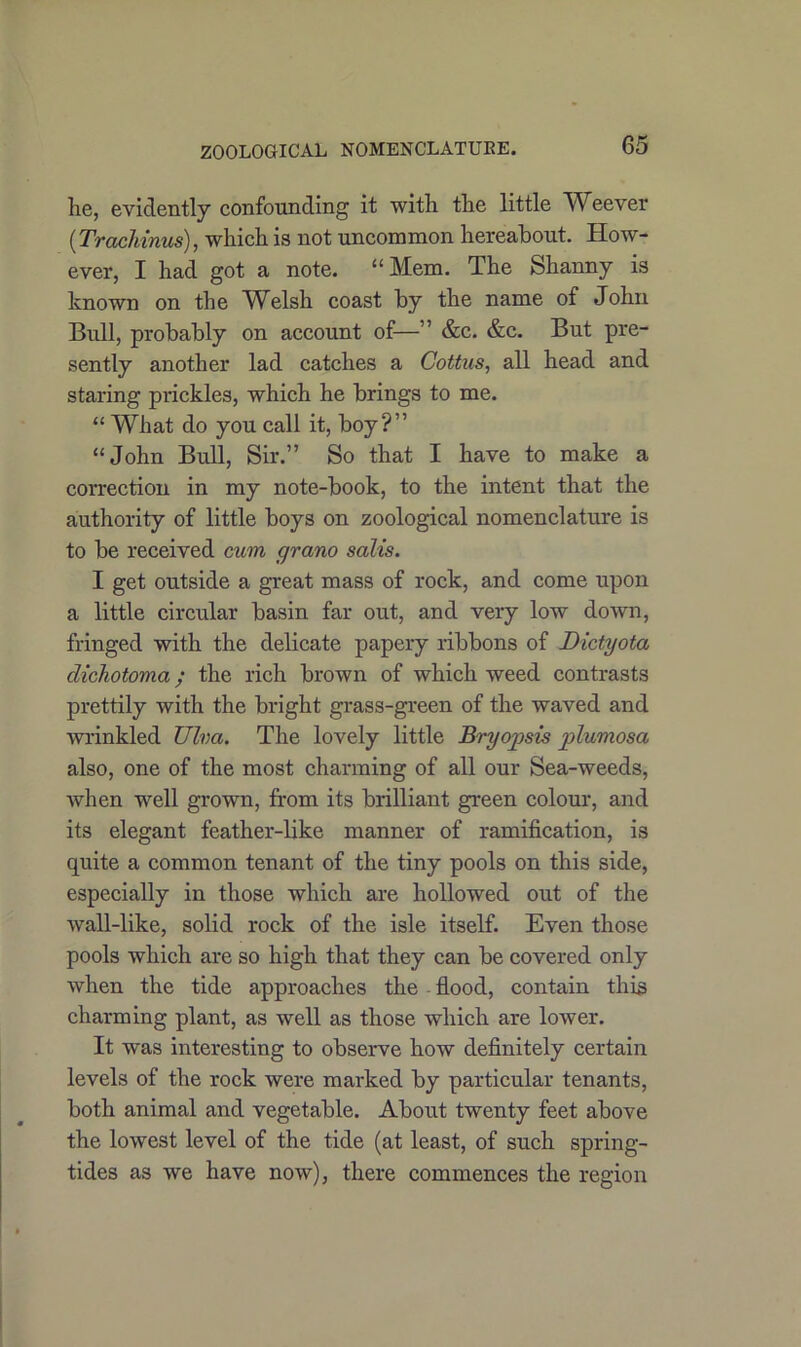ZOOLOGICAL NOMENCLATURE. he, evidently confounding it with the little Weever (Trachinus), which is not uncommon hereabout. How- ever, I had got a note. “Mem. The Shanny is known on the Welsh coast by the name of John Bull, probably on account of—” &c. &c. But pre- sently another lad catches a Cottus, all head and staring prickles, which he brings to me. “ What do you call it, boy?” “John Bull, Sir.” So that I have to make a correction in my note-book, to the intent that the authority of little boys on zoological nomenclature is to be received cum grano salts. I get outside a great mass of rock, and come upon a little circular basin far out, and very low down, fringed with the delicate papery ribbons of Dictyota dicliotoma; the rich brown of which weed contrasts prettily with the bright grass-green of the waved and wrinkled Ulva. The lovely little Bryopsis plumosa also, one of the most charming of all our Sea-weeds, when well grown, from its brilliant green colour, and its elegant feather-like manner of ramification, is quite a common tenant of the tiny pools on this side, especially in those which are hollowed out of the wall-like, solid rock of the isle itself. Even those pools which are so high that they can be covered only when the tide approaches the flood, contain this charming plant, as well as those which are lower. It was interesting to observe how definitely certain levels of the rock were marked by particular tenants, both animal and vegetable. About twenty feet above the lowest level of the tide (at least, of such spring- tides as we have now), there commences the region