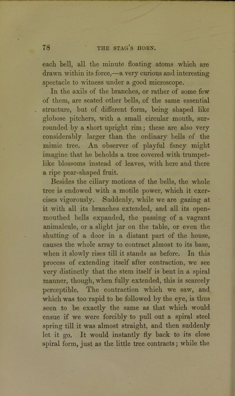 each bell, all the minute floating atoms which are drawn within its force,—a very curious and interesting spectacle to witness under a good microscope. In the axils of the branches, or rather of some few of them, are seated other bells, of the same essential structure, but of different form, being shaped like globose pitchers, with a small circular mouth, sur- rounded by a short upright rim; these are also very considerably larger than the ordinary bells of the mimic tree. An observer of playful fancy might imagine that he beholds a tree covered with trumpet- like blossoms instead of leaves, with here and there a ripe pear-shaped fruit. Besides the ciliary motions of the bells, the whole tree is endowed with a motile power, which it exer- cises vigorously. Suddenly, while we are gazing at it with all its branches extended, and all its open- mouthed bells expanded, the passing of a vagrant animalcule, or a slight jar on the table, or even the shutting of a door in a distant part of the house, causes the whole array to contract almost to its base, when it slowly rises till it stands as before. In this process of extending itself after contraction, we see very distinctly that the stem itself is bent in a spiral manner, though, when fully extended, this is scarcely perceptible. The contraction which we saw, and which was too rapid to be followed by the eye, is thus seen to be exactly the same as that which would ensue if we were forcibly to pull out a spiral steel spring till it was almost straight, and then suddenly let it go. It would instantly fly back to its close spiral form, just as the little tree contracts; while the