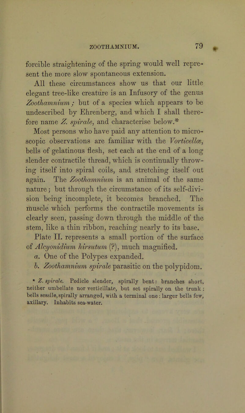 * forcible straightening of the spring would well repre- sent the more slow spontaneous extension. All these circumstances show us that our little elegant tree-like creature is an Infusory of the genus Zooihamnium; but of a species which appears to be undescribed by Ehrenberg, and which I shall there- fore name Z. spirale, and characterise below.* Most persons who have paid any attention to micro- scopic observations are familiar with the Vorticellce, bells of gelatinous flesh, set each at the end of a long slender contractile thread, which is continually throw- ing itself into spiral coils, and stretching itself out again. The Zooihamnium, is an animal of the same nature; but through the circumstance of its self-divi- sion being incomplete, it becomes branched. The muscle which performs the contractile movements is clearly seen, passing clown through the middle of the stem, like a thin ribbon, reaching nearly to its base. Plate II. represents a small portion of the surface of Alcyonidium hirsutum (?), much magnified. a. One of the Polypes expanded. h. Zoothamnium spirale parasitic on the polypidom. * Z. spirale. Pedicle slender, spirally bent: branches short, neither umbellate nor verticillate, but set spirally on the trunk : bells sessile, spirally arranged, with a terminal one : larger bells few, axillary. Inhabits sea-water.