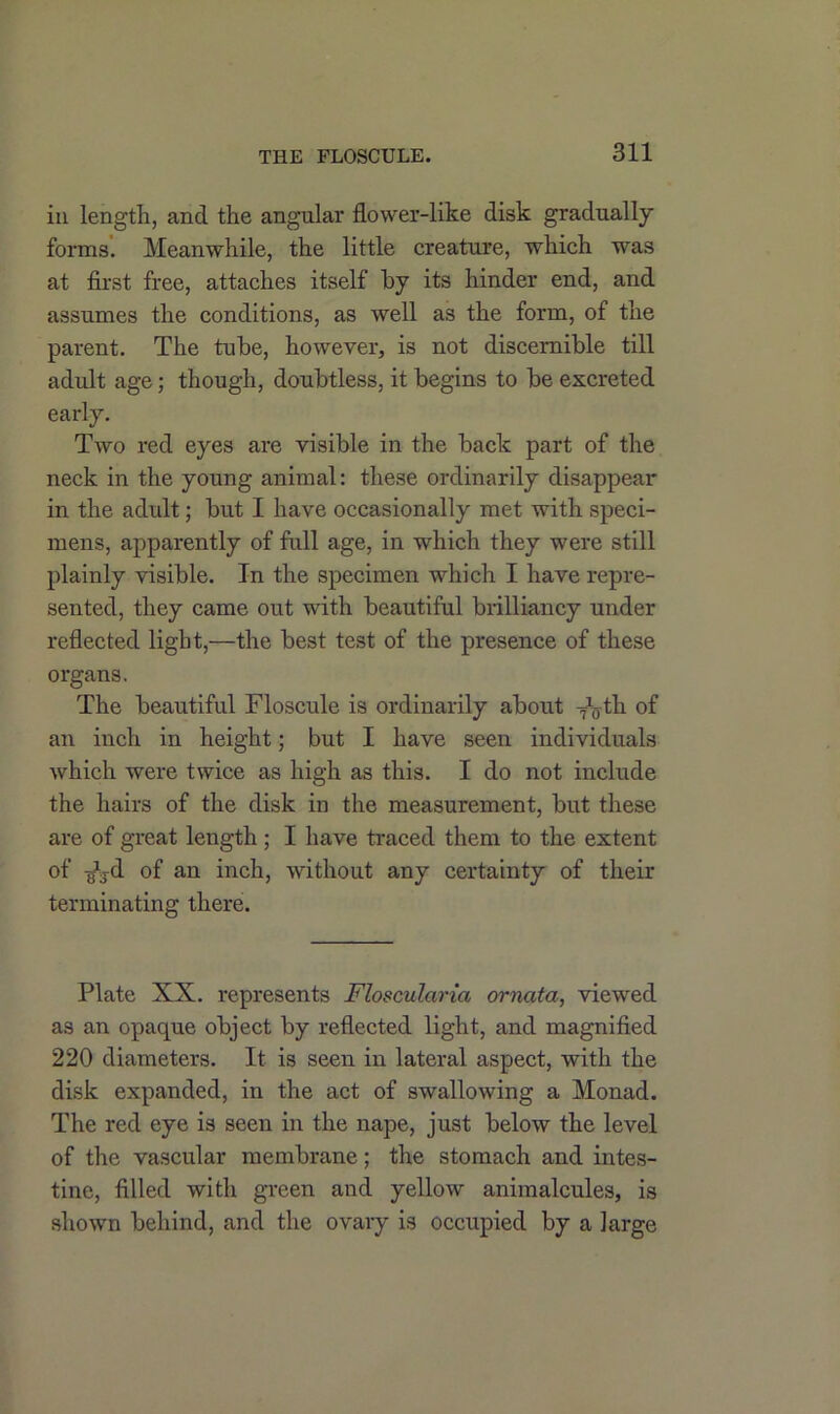 iu length, and the angular flower-like disk gradually forms. Meanwhile, the little creature, which was at first free, attaches itself by its hinder end, and assumes the conditions, as well as the form, of the parent. The tube, however, is not discernible till adult age; though, doubtless, it begins to be excreted early. Two red eyes are visible in the back part of the neck in the young animal: these ordinarily disappear in the adult; but I have occasionally met with speci- mens, apparently of full age, in which they were still plainly visible. In the specimen which I have repre- sented, they came out with beautiful brilliancy under reflected light,—the best test of the presence of these organs. The beautiful Floscule is ordinarily about -^th of an inch in height; but I have seen individuals which were twice as high as this. I do not include the hairs of the disk in the measurement, but these are of great length; I have traced them to the extent of -gb-d of an inch, without any certainty of their terminating there. Plate XX. represents Floscularia ornata, viewed as an opaque object by reflected light, and magnified 220 diameters. It is seen in lateral aspect, with the disk expanded, in the act of swallowing a Monad. The red eye is seen in the nape, just below the level of the vascular membrane; the stomach and intes- tine, filled with green and yellow animalcules, is shown behind, and the ovary is occupied by a large