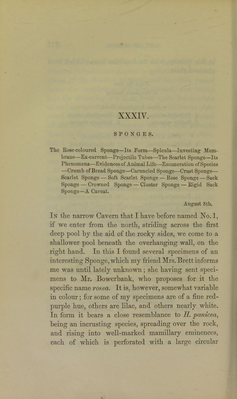 XXXIV. SPONGES. The Rose-coloured Sponge—Its Form—Spicula—Investing Mem- brane—Ex-current—Projectile Tubes—The Scarlet Sponge—Its Phenomena—Evidencesof Animal Life—Enumeration of Species —Crumb of Bread Sponge—Caruncled Sponge—Crust Sponge— Scarlet Sponge — Soft Scarlet Sponge — Rose Sponge — Sack Sponge — Crowned Sponge — Cluster Sponge — Rigid Sack Sponge—A Caveat. August 8 th. In the narrow Cavern that I have before named No. 1, if we enter from the north, striding across the first deep pool by the aid of the rocky sides, we come to a shallower pool beneath the overhanging wall, on the right hand. In this I found several specimens of an interesting Sponge, which my friend Mrs. Brett informs me was until lately unknown; she having sent speci- mens to Mr. Bowerbank, who proposes for it the specific name rosea. It is, however, somewhat variable in colour; for some of my specimens are of a fine red- purple hue, others are lilac, and others nearly white. In form it bears a close resemblance to 2 panicea, being an incrusting species, spreading over the rock, and rising into well-marked mamillary eminences, each of which is perforated with a large circular