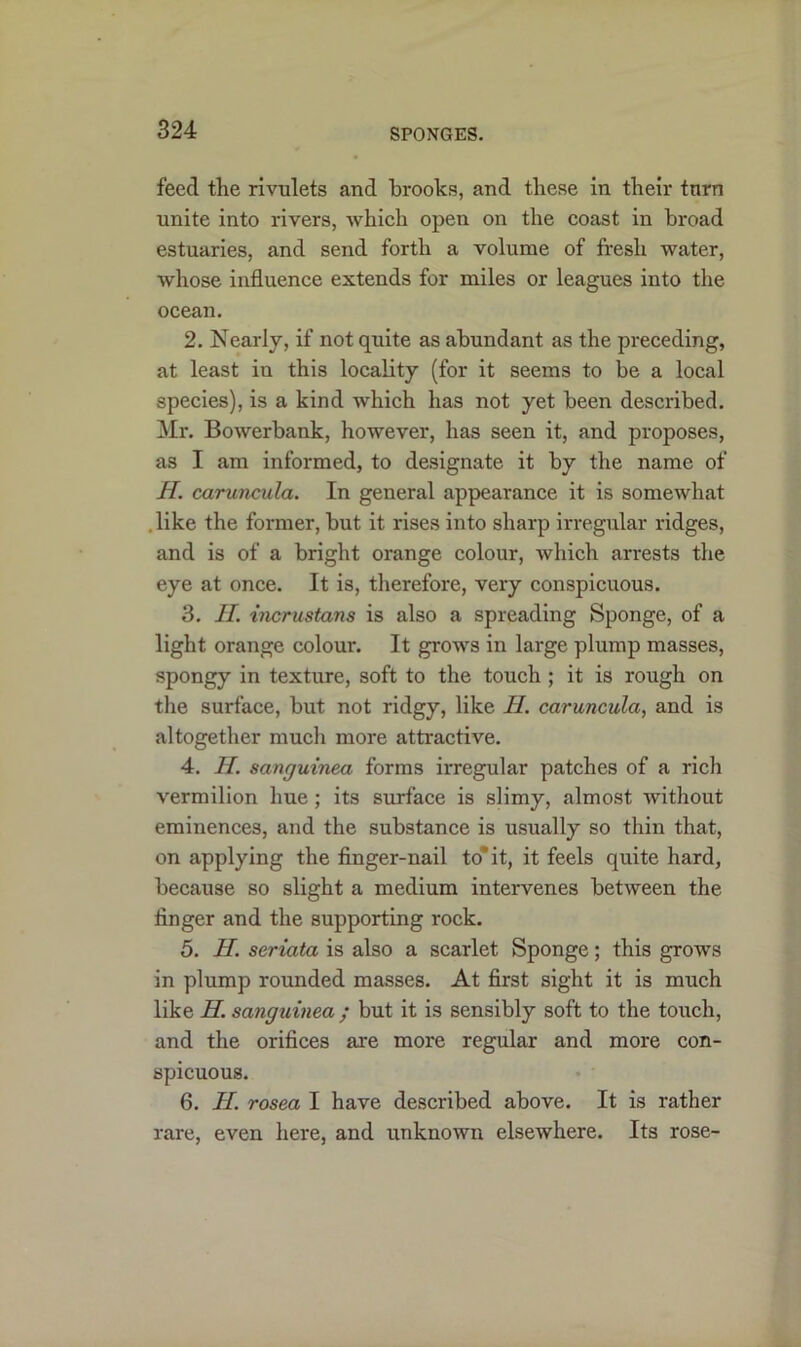 feed the rivulets and brooks, and these in their tnrn unite into rivers, which open on the coast in broad estuaries, and send forth a volume of fresh water, whose influence extends for miles or leagues into the ocean. 2. Nearly, if not quite as abundant as the preceding, at least iu this locality (for it seems to be a local species), is a kind which has not yet been described. Mr. Bowerbank, however, has seen it, and proposes, as I am informed, to designate it by the name of H. caruncula. In general appearance it is somewhat . like the former, but it rises into sharp irregular ridges, and is of a bright orange colour, which arrests the eye at once. It is, therefore, very conspicuous. 3. II. incrustans is also a spreading Sponge, of a light orange colour. It grows in large plump masses, spongy in texture, soft to the touch ; it is rough on the surface, but not ridgy, like II. caruncula, and is altogether much more attractive. 4. II. sanguinea forms irregular patches of a rich vermilion hue; its surface is slimy, almost without eminences, and the substance is usually so thin that, on applying the finger-nail to’it, it feels quite hard, because so slight a medium intervenes between the finger and the supporting rock. 5. II seriata is also a scarlet Sponge; this grows in plump rounded masses. At first sight it is much like II. sanguinea ; but it is sensibly soft to the touch, and the orifices are more regular and more con- spicuous. 6. II. rosea I have described above. It is rather rare, even here, and unknown elsewhere. Its rose-