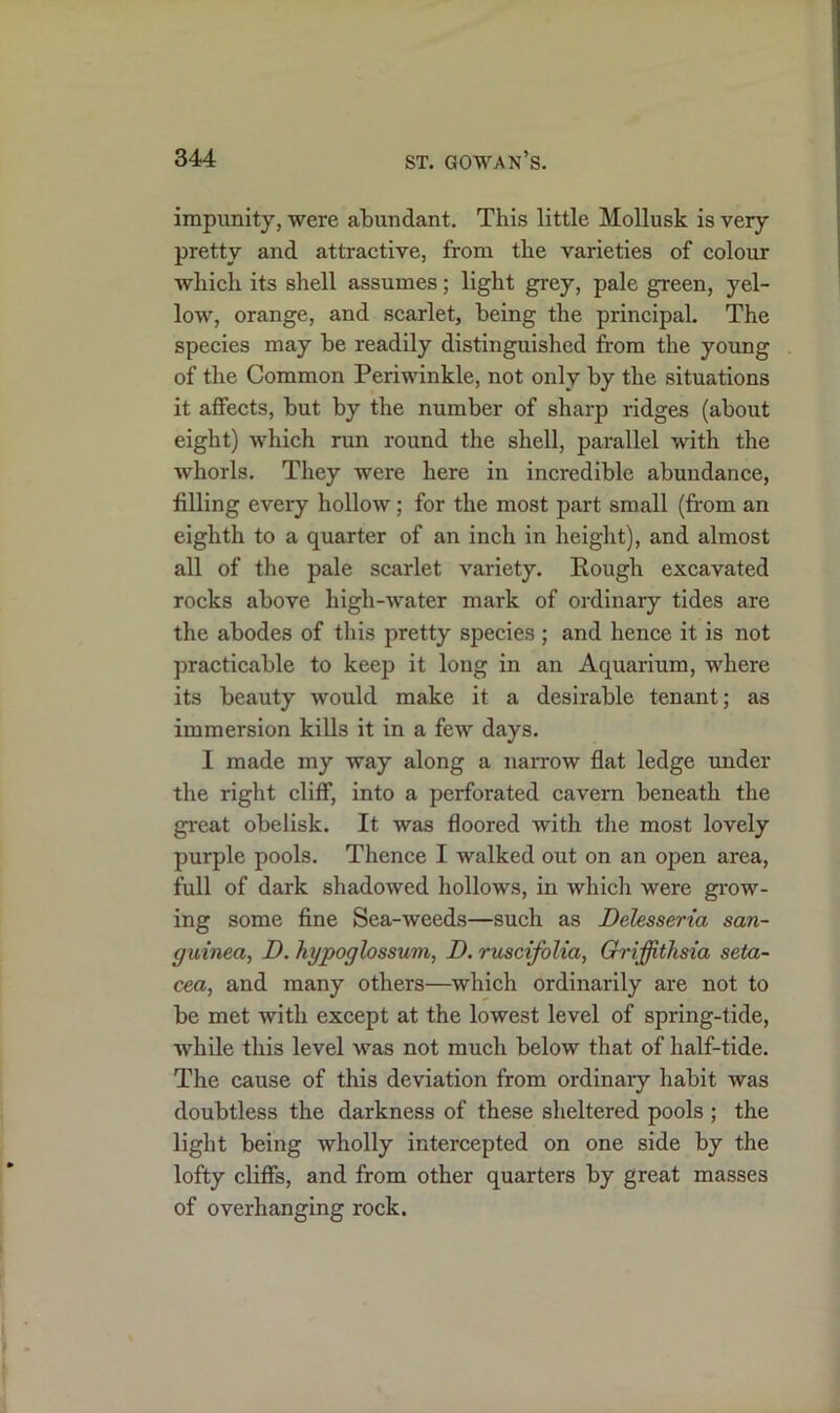 impunity, were abundant. This little Mollusk is very pretty and attractive, from the varieties of colour which its shell assumes; light grey, pale green, yel- low, orange, and scarlet, being the principal. The species may be readily distinguished from the young of the Common Periwinkle, not only by the situations it affects, but by the number of sharp ridges (about eight) which run round the shell, parallel with the whorls. They were here in incredible abundance, filling every hollow; for the most part small (from an eighth to a quarter of an inch in height), and almost all of the pale scarlet variety. Rough excavated rocks above high-water mark of ordinary tides are the abodes of this pretty species ; and hence it is not practicable to keep it long in an Aquarium, where its beauty would make it a desirable tenant; as immersion kills it in a few days. 1 made my way along a narrow flat ledge under the right cliff, into a perforated cavern beneath the great obelisk. It was floored with the most lovely purple pools. Thence I walked out on an open area, full of dark shadowed hollows, in which were grow- ing some fine Sea-weeds—such as Delesseria san- guined, D. hypogbssum, D. ruscifolia, Griffithsia seta- cea, and many others—which ordinarily are not to be met with except at the lowest level of spring-tide, while this level was not much below that of half-tide. The cause of this deviation from ordinary habit was doubtless the darkness of these sheltered pools ; the light being wholly intercepted on one side by the lofty cliffs, and from other quarters by great masses of overhanging rock.