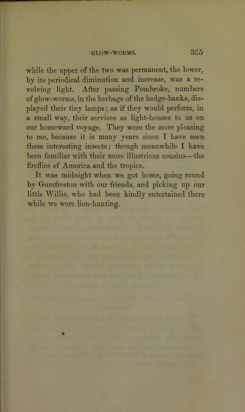 while the upper of the two was permanent, the lower, by its periodical diminution and increase, was a re- volving light. After passing Pembroke, numbers of glow-worms, in the herbage of the hedge-banks, dis- played their tiny lamps; as if they would perform, in a small way, their services as light-houses to us on our homeward voyage. They were the more pleasing to me, because it is many years since I have seen these interesting insects; though meanwhile I have been familiar with their more illustrious cousins—the fireflies of America and the tropics. It was midnight when we got home, going round by Gumfreston with our friends, and picking up our little Willie, who had been kindly entertained there while we were lion-hunting.