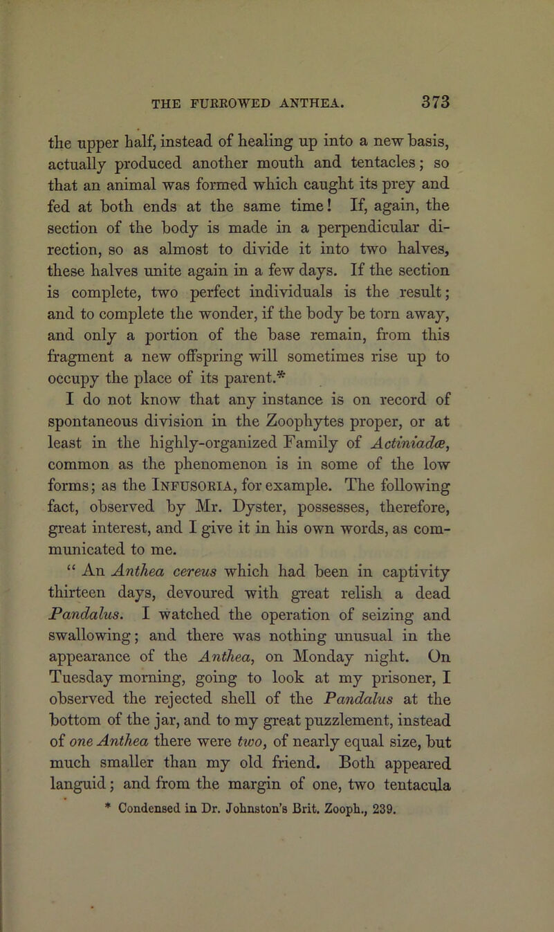 the tipper half, instead of healing up into a new basis, actually produced another mouth and tentacles; so that an animal was formed which caught its prey and fed at both ends at the same time! If, again, the section of the body is made in a perpendicular di- rection, so as almost to divide it into two halves, these halves unite again in a few days. If the section is complete, two perfect individuals is the result; and to complete the wonder, if the body be torn away, and only a portion of the base remain, from this fragment a new offspring will sometimes rise up to occupy the place of its parent.* I do not know that any instance is on record of spontaneous division in the Zoophytes proper, or at least in the highly-organized Family of Actiniadce, common as the phenomenon is in some of the low forms; as the Infusoria, for example. The following fact, observed by Mr. Dyster, possesses, therefore, great interest, and I give it in his own words, as com- municated to me. “ An Anthea cereus which had been in captivity thirteen days, devoured with great relish a dead Pandalus. I watched the operation of seizing and swallowing; and there was nothing unusual in the appearance of the Anthea, on Monday night. On Tuesday morning, going to look at my prisoner, I observed the rejected shell of the Pandalus at the bottom of the jar, and to my great puzzlement, instead of one Anthea there were two, of nearly equal size, but much smaller than my old friend. Both appeared languid; and from the margin of one, two tentacula * Condensed in Dr. Johnston’s Brit. Zooph., 239.