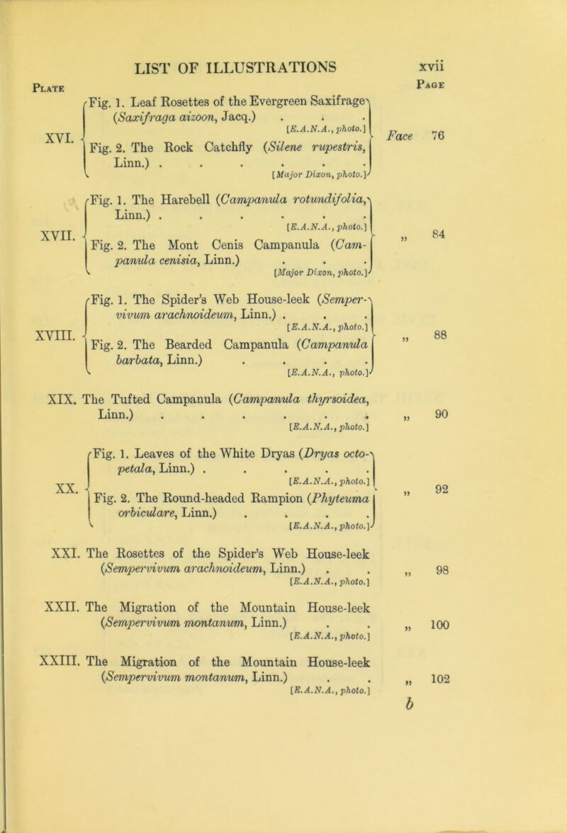 XYI. XVII. LIST OF ILLUSTRATIONS Fig. 1. Leaf Rosettes of the Evergreen Saxifrage^ (Saocif raga aizoon, Jacq.) [E.A.N.A., photo.) Fig. 2. The Rock Catchfly {Silene rupestris, Linn.) ...... [Major Dixon, photo.] Fig. 1. The Harebell (Campanula rotundifolia,\ Linn.) ...... [E.A.N.A., photo.] Fig. 2. The Mont Cenis Campanula (Cam- panula cenisia, Linn.) . [Major Dixon, photo.p Face y XVIII. XIX. /'Fig. 1. The Spider’s Web House-leek (Semper-- vivum arachnoideum, Linn.) . [E. A.N.A., photo.] Fig. 2. The Bearded Campanula (Campanula barbata, Linn.) .... [E.A.N.A., photo.]' The Tufted Campanula (Campanula thyrsoidea, Linn.) ...... [E.A.N.A., photo.] XX. XXI. (Fig. 1. Leaves of the White Dryas (Dryas octo- petcda, Linn.) ..... [E.A.N.A., photo.] Fig. 2. The Round-headed Rampion (Phyteuma orbicidare, Linn.) .... [E.A.N.A., photo.]J The Rosettes of the Spider’s Web House-leek (Sempervivum arachnoideum, Linn.) [E.-^.N.^., photo.] XXII. The Migration of the Mountain House-leek (Sempervivum montanum, Linn.) [E.X.J/.yl., photo.] XXIII. The Migration of the Mountain House-leek (Sempervivum montanum, Linn.) xvii Page 76 84 88 90 92 98 100 [E.4.N..4., photo.] 102
